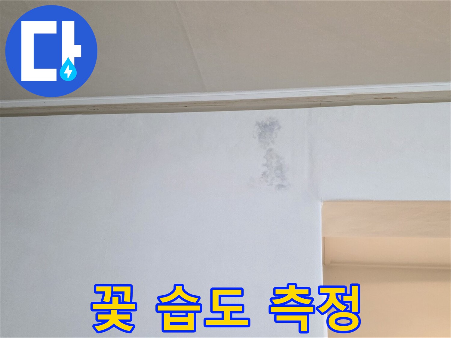 잿빛 꽃 습도 측정 - 누수 & 곰팡이 정밀 과학 검사