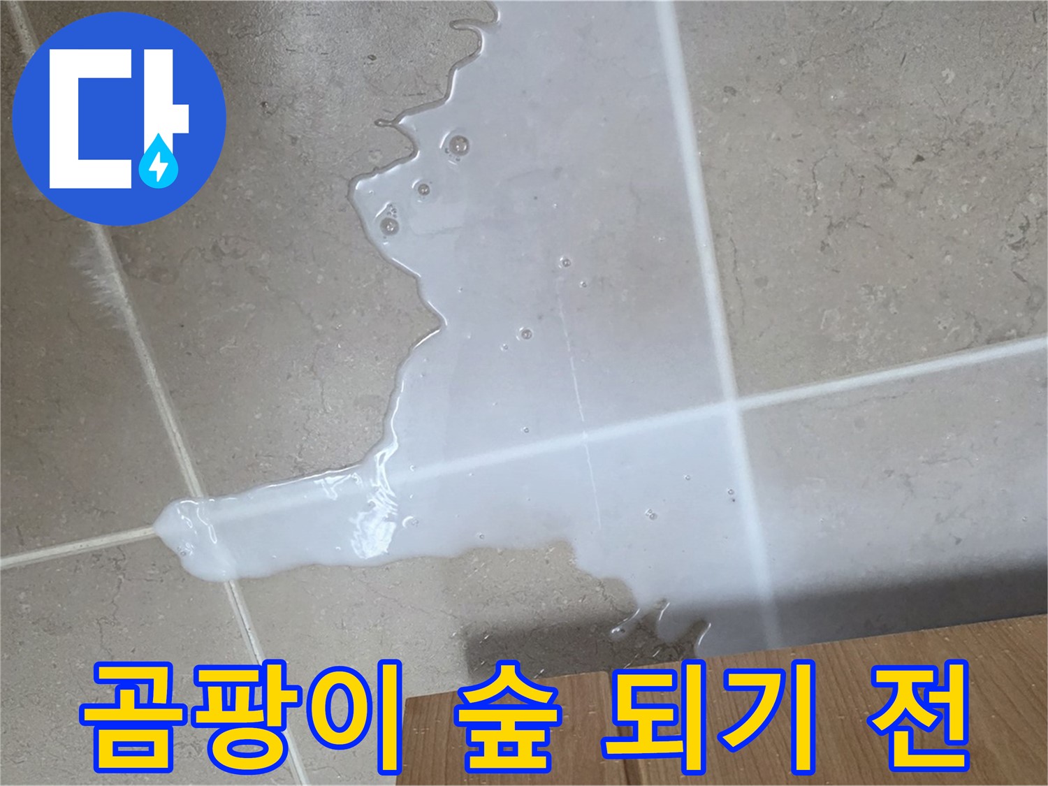 포천 일동 기산리 아파트 - 씽크대 누수로 인해 곰팡이가 무성하게 자라나는 모습 - 곰팡이 숲 되기 전에 SOS