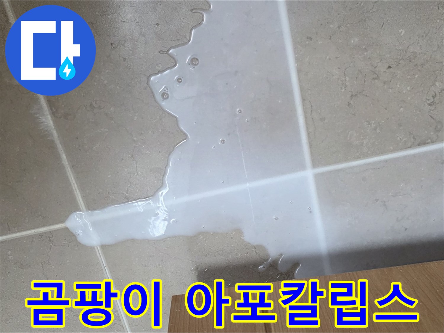포천 일동 기산베스트빌 아파트 - 씽크대 누수로 인해 곰팡이가 무성하게 자라나는 모습 - 곰팡이 아포칼립스?!