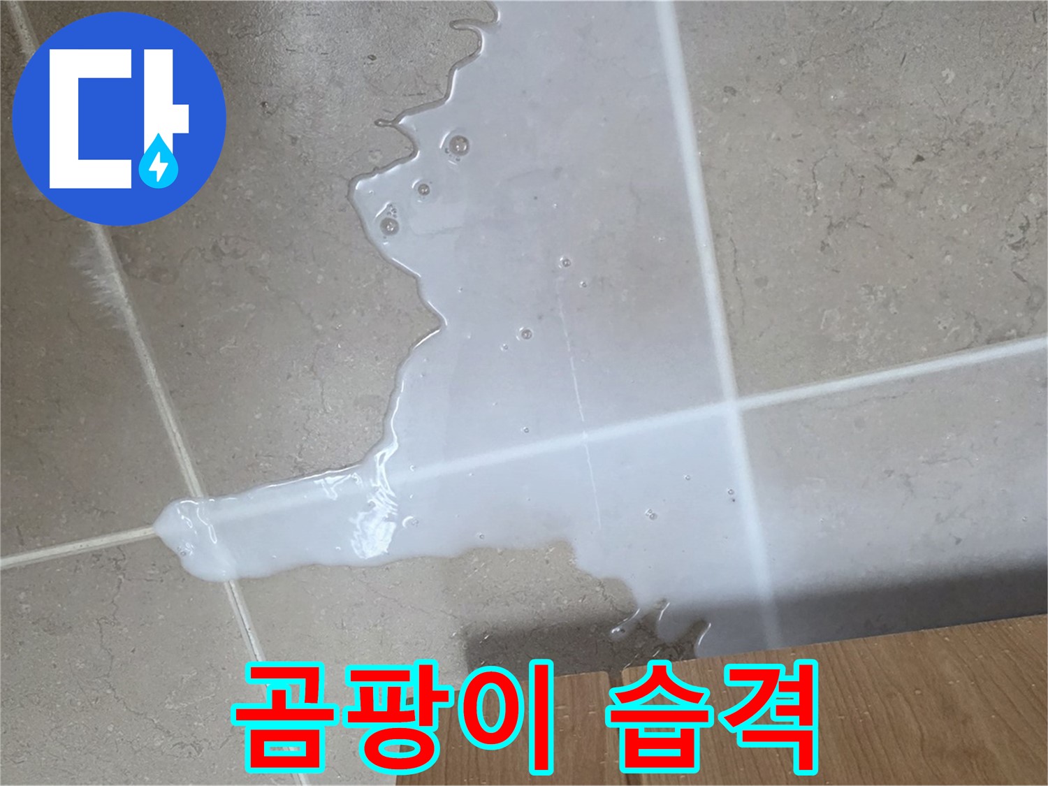 포천 일동 기산베스트빌 아파트 - 씽크대 누수로 인해 곰팡이가 번식하기 시작한 모습 - 곰팡이 군단 습격 주의