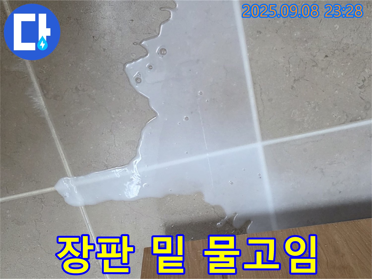 포천 일동 기산베스트빌 아파트 - 장판 밑 물고임 현장, 꼼꼼한 누수 점검으로 해결