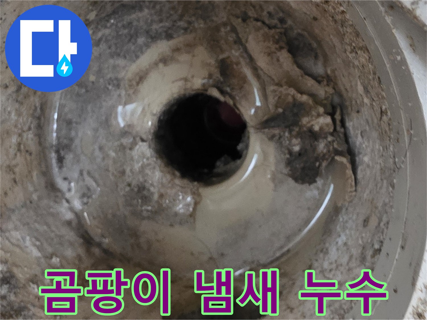 포천 일동 - 누수와 함께 곰팡이 냄새, 베란다 배수구 문제 해결!