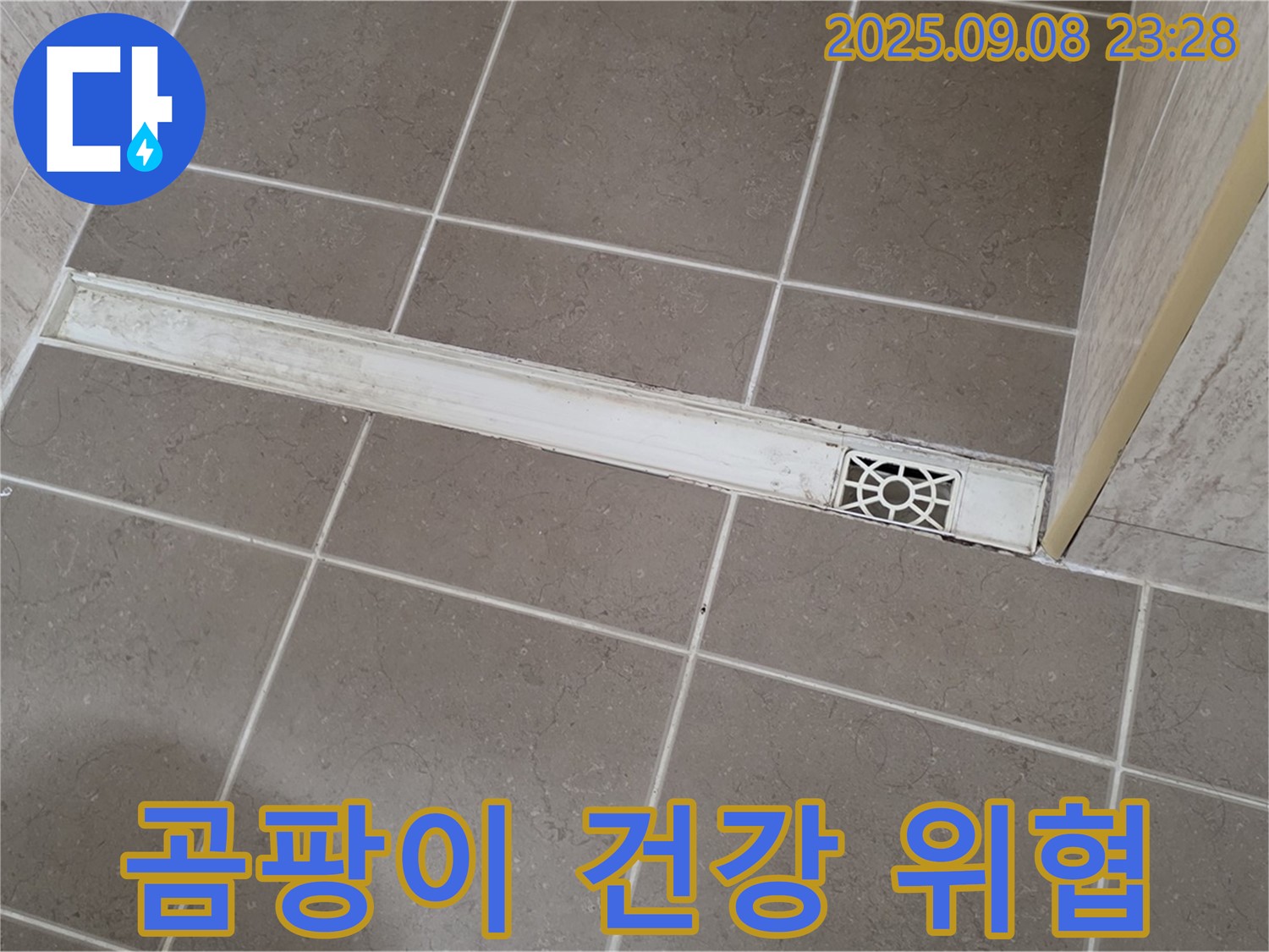 포천 일동 아파트 욕실 - 트렌치 곰팡이 냄새, 건강까지 위협할 수 있습니다!