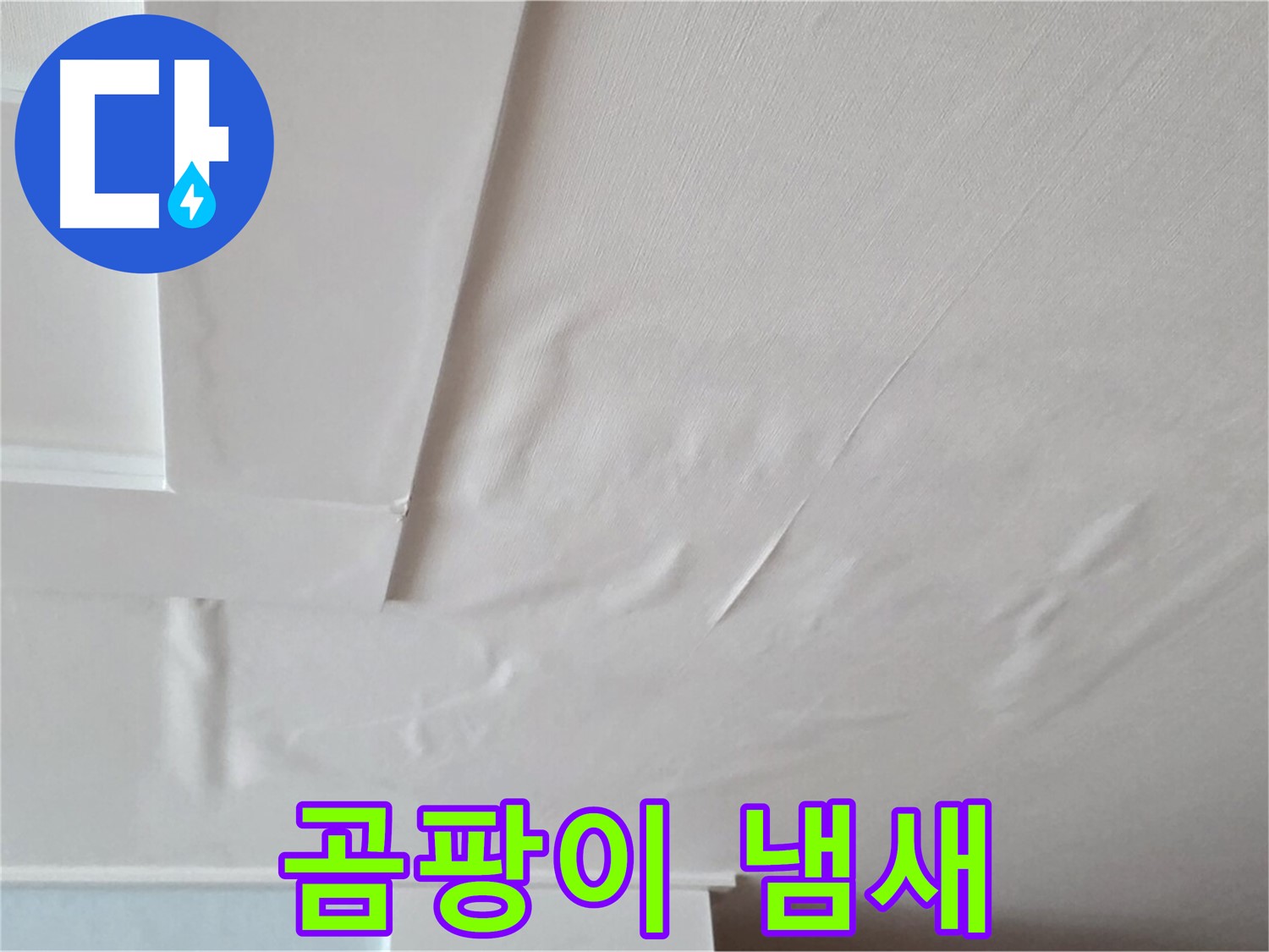 포천 일동 아파트 천장 누수 - 곰팡이 냄새 - 소화 불량 - 장 건강 악화