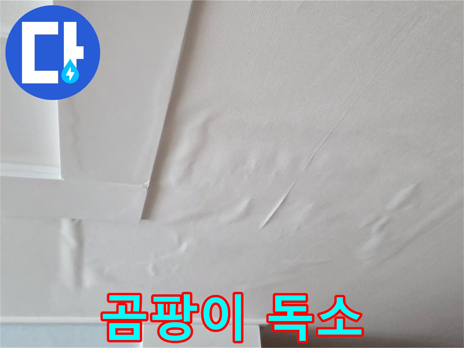 포천 일동 아파트 천장 누수 - 곰팡이 독소 - 만성 피로 - 활력 저하