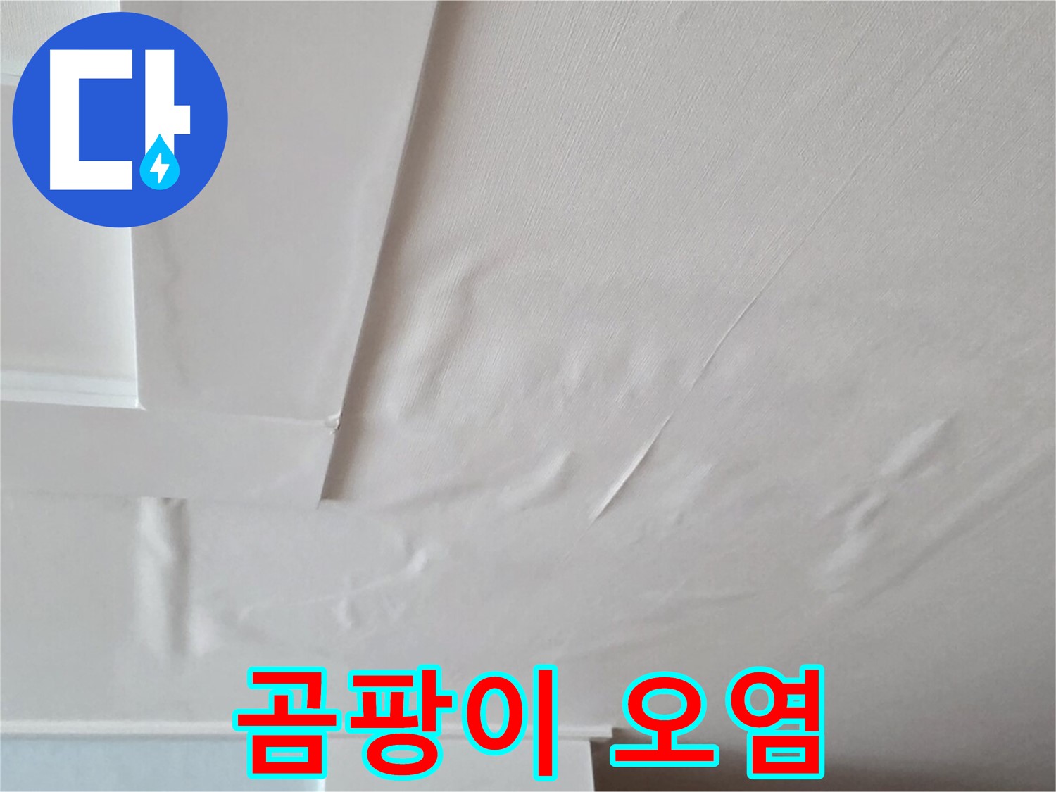 포천 일동 아파트 천장 누수 - 곰팡이로 오염된 집 - 이사 고민