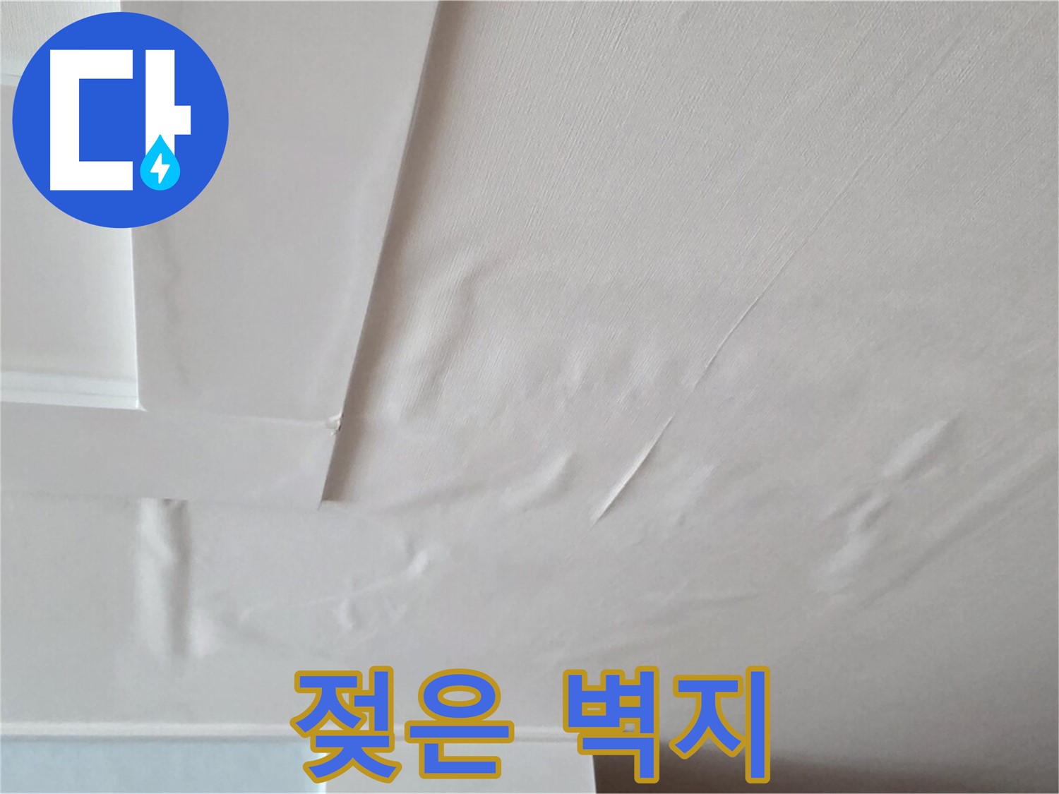 포천 일동 아파트 천장 누수 - 젖은 벽지와 곰팡이 번식 위험