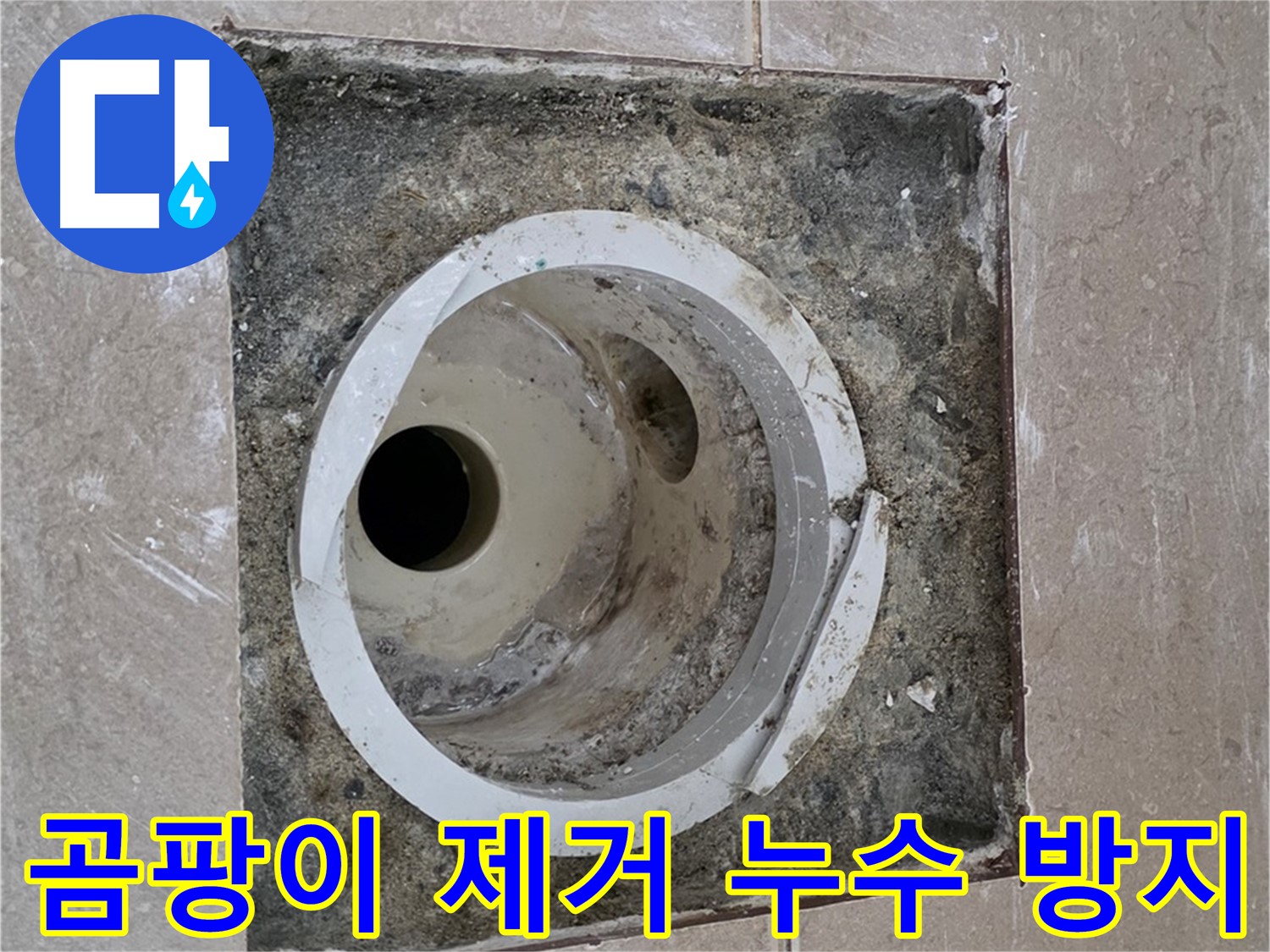 포천 일동 아파트 화장실 배수구 누수 - 곰팡이 제거 및 누수 방지 시공으로 쾌적한 환경 조성