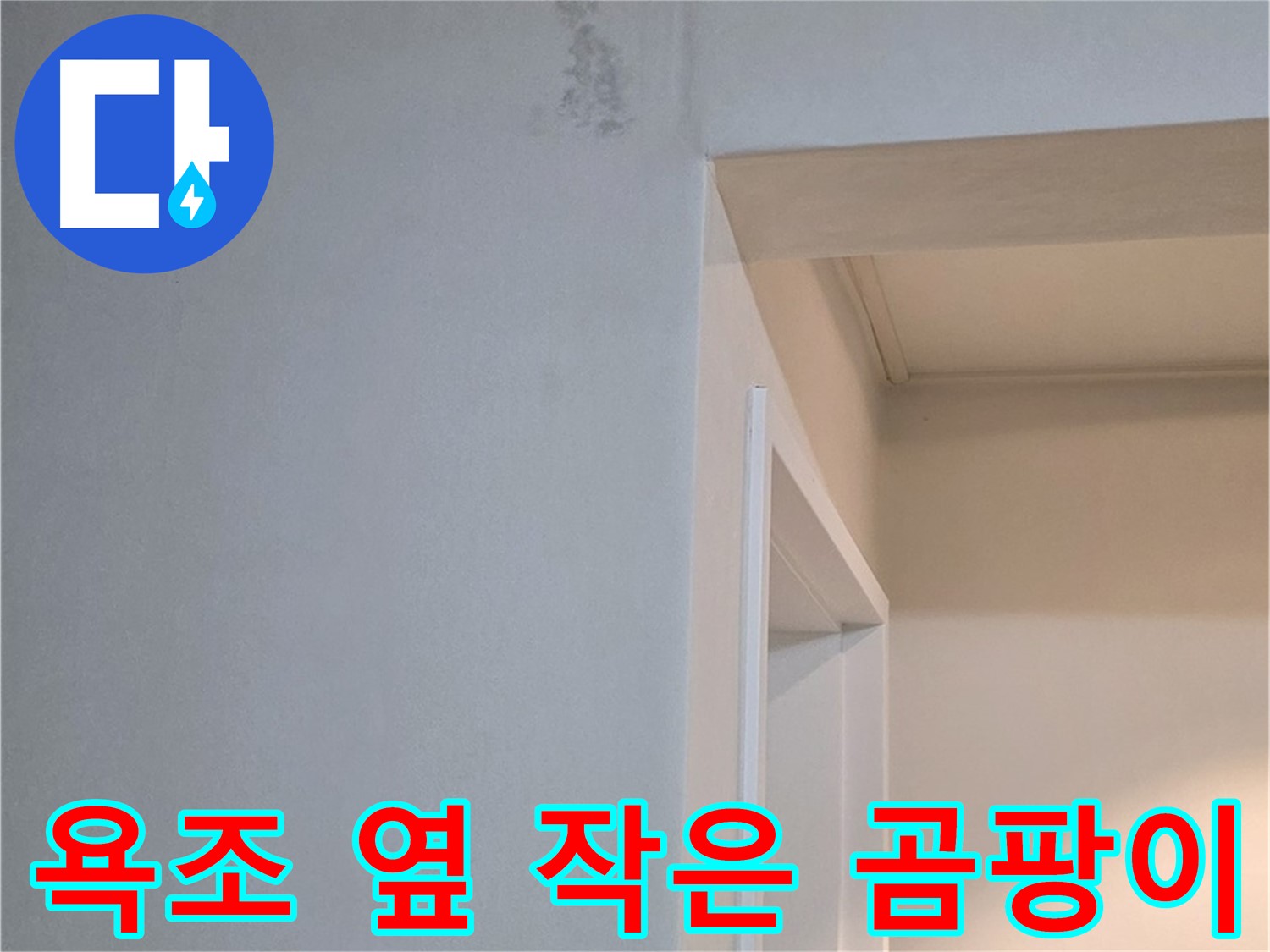 포천시 일동 기산리 아파트 욕조 옆 벽면의 작은 곰팡이 - 초기 누수 의심 및 점검 필요