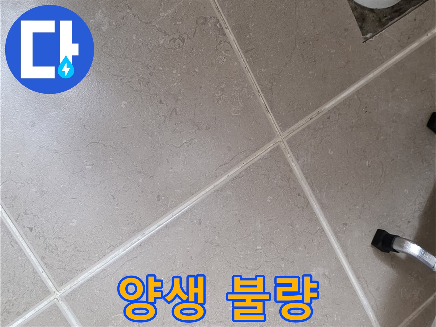 포천시 일동면 기산리 욕실 배수구 주변 방수 시공 후 양생 불량 - 충분한 양생은 방수의 기본입니다.