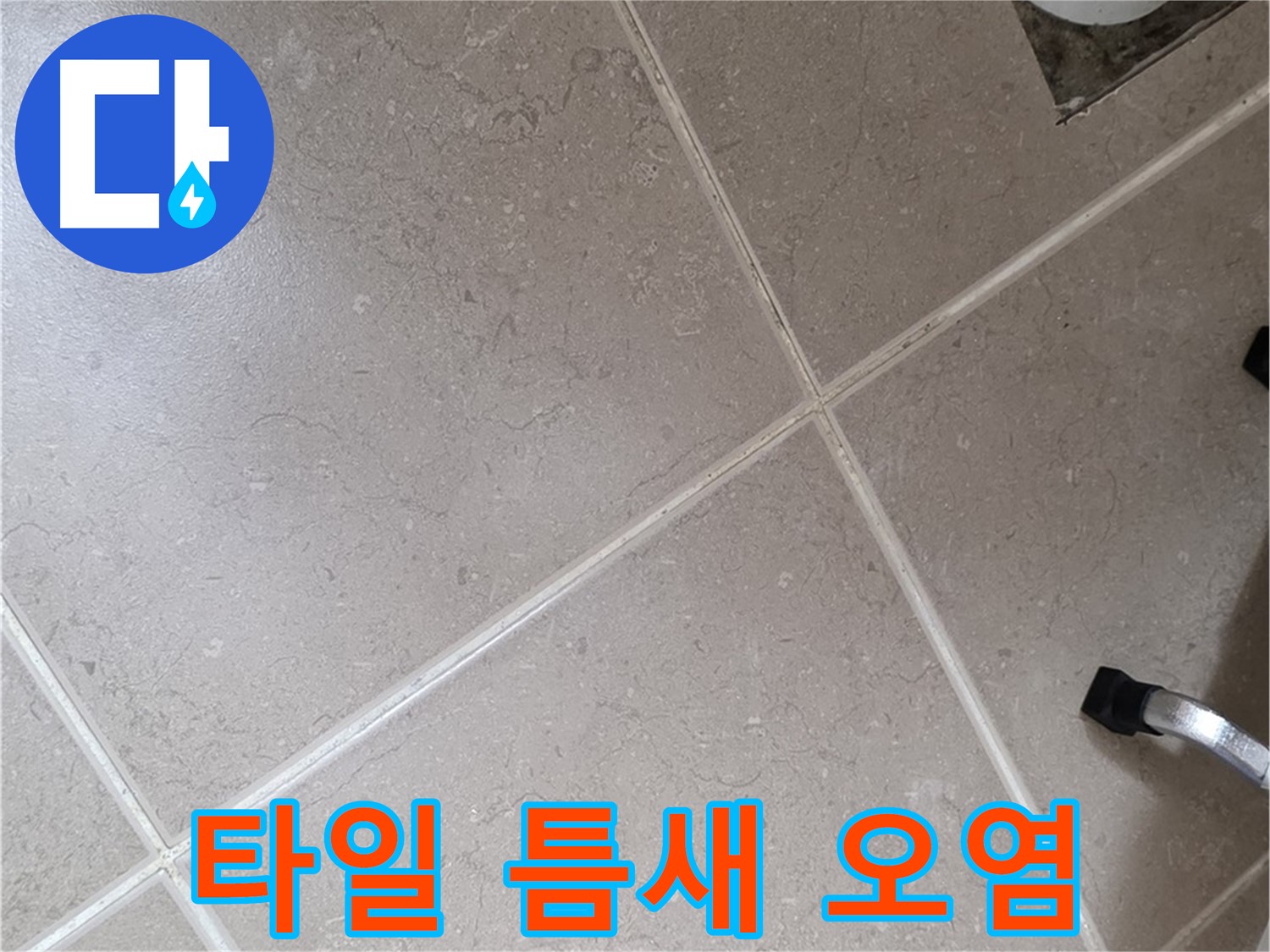 포천시 일동면 기산리 욕실 배수구 주변 타일 틈새 오염 확인 - 곰팡이 발생 가능성이 있습니다.