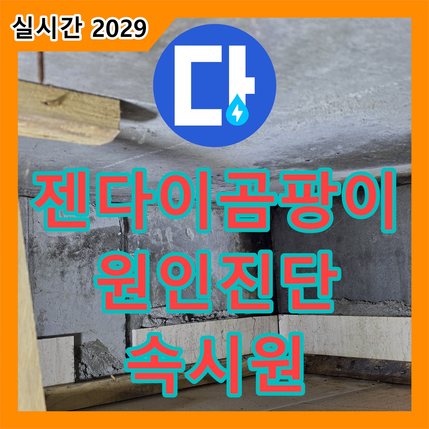 포천시 일동면, 누수탐지전문가 - 욕실 젠다이 곰팡이, 속 시원하게 원인 진단하고 말끔하게 제거해 드립니다!