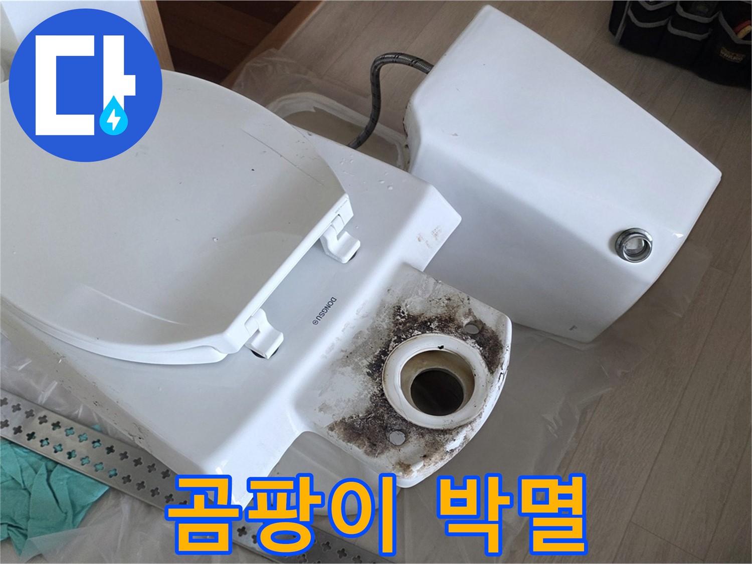 포천시 일동면 운악청계로 1772 - 변기 찌든 때와 곰팡이 박멸 작전 개시!