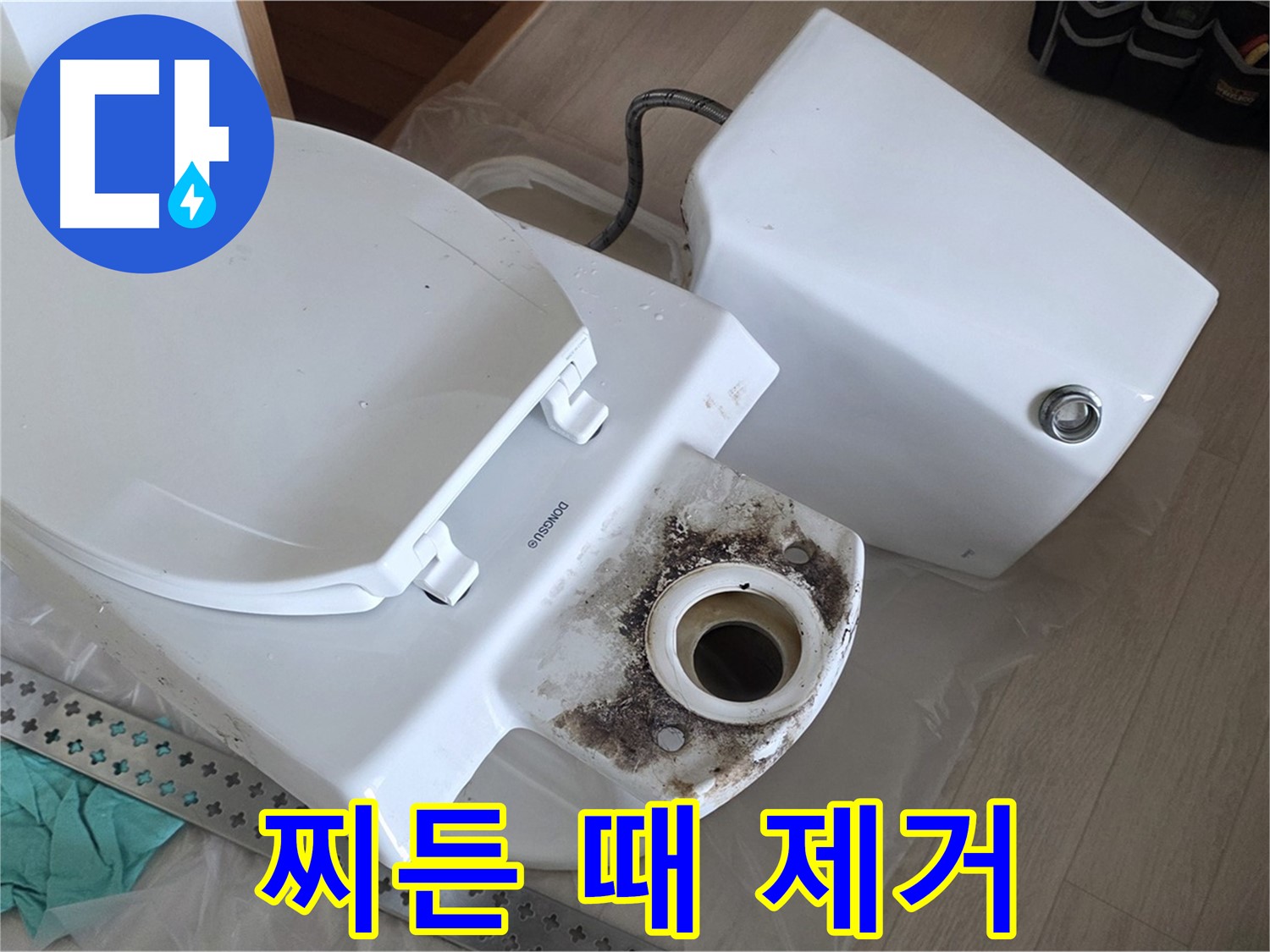 포천시 일동면 운악청계로 기산베스트빌 아파트 - 변기 찌든 때와 곰팡이 완벽 제거 작업 돌입
