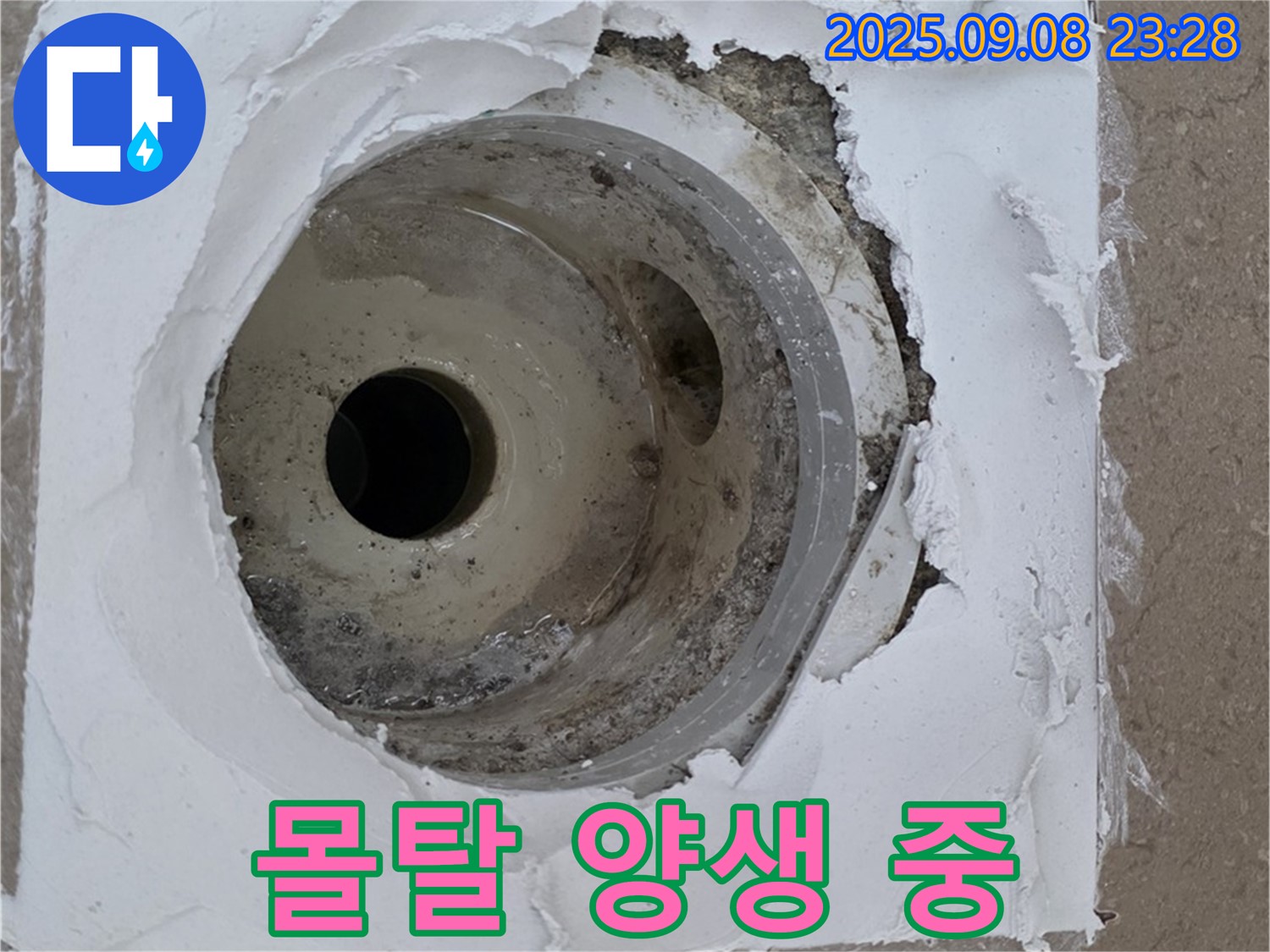 포천시 일동면 운악청계로 - 배수구 주변 몰탈 양생하며 건조 중