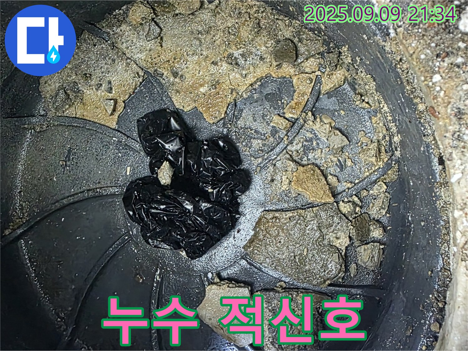 배수구 속 검은 덩어리 - 배수구 안에 있는 검은 덩어리가 누수 적신호일 수 있습니다.
