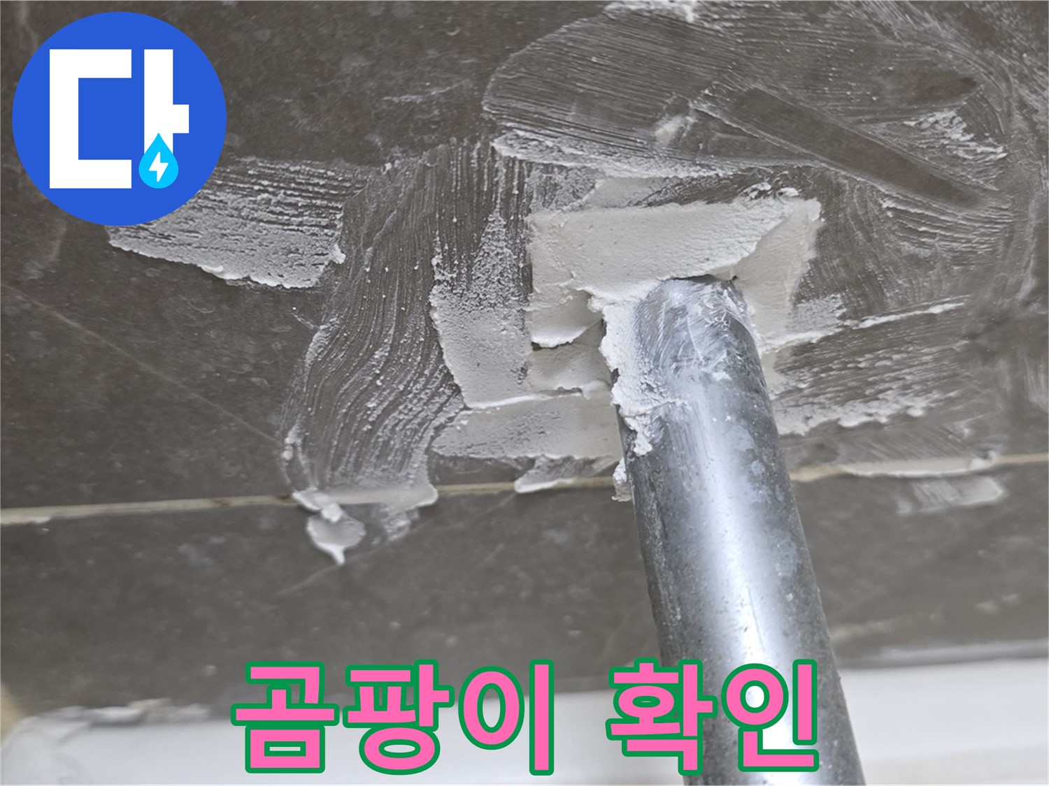 백시멘트 제거 후 곰팡이 발견 - 철저한 제거