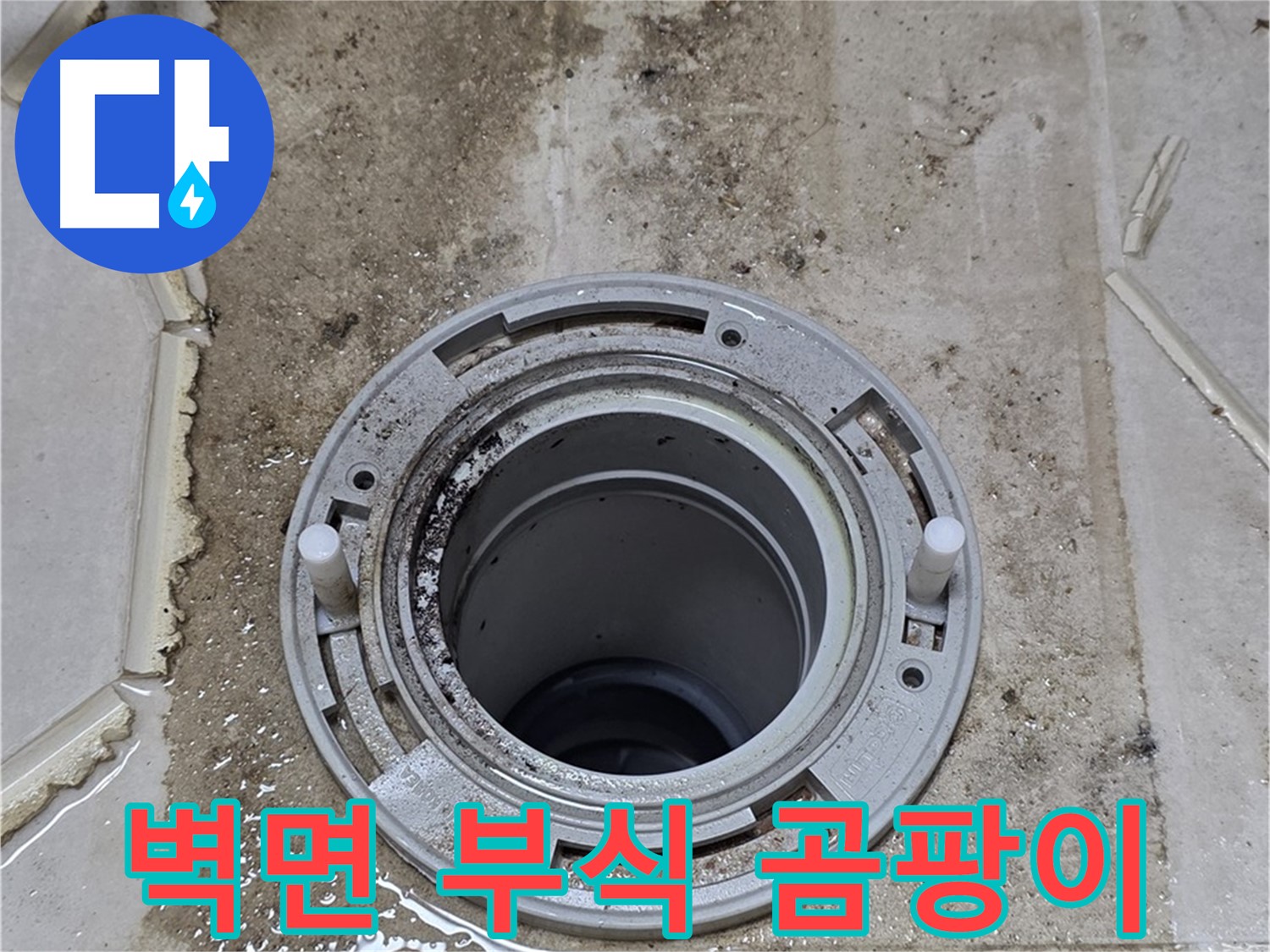 변기 뒤 벽면 - 부식과 곰팡이 확산이 심각하게 진행 중입니다.
