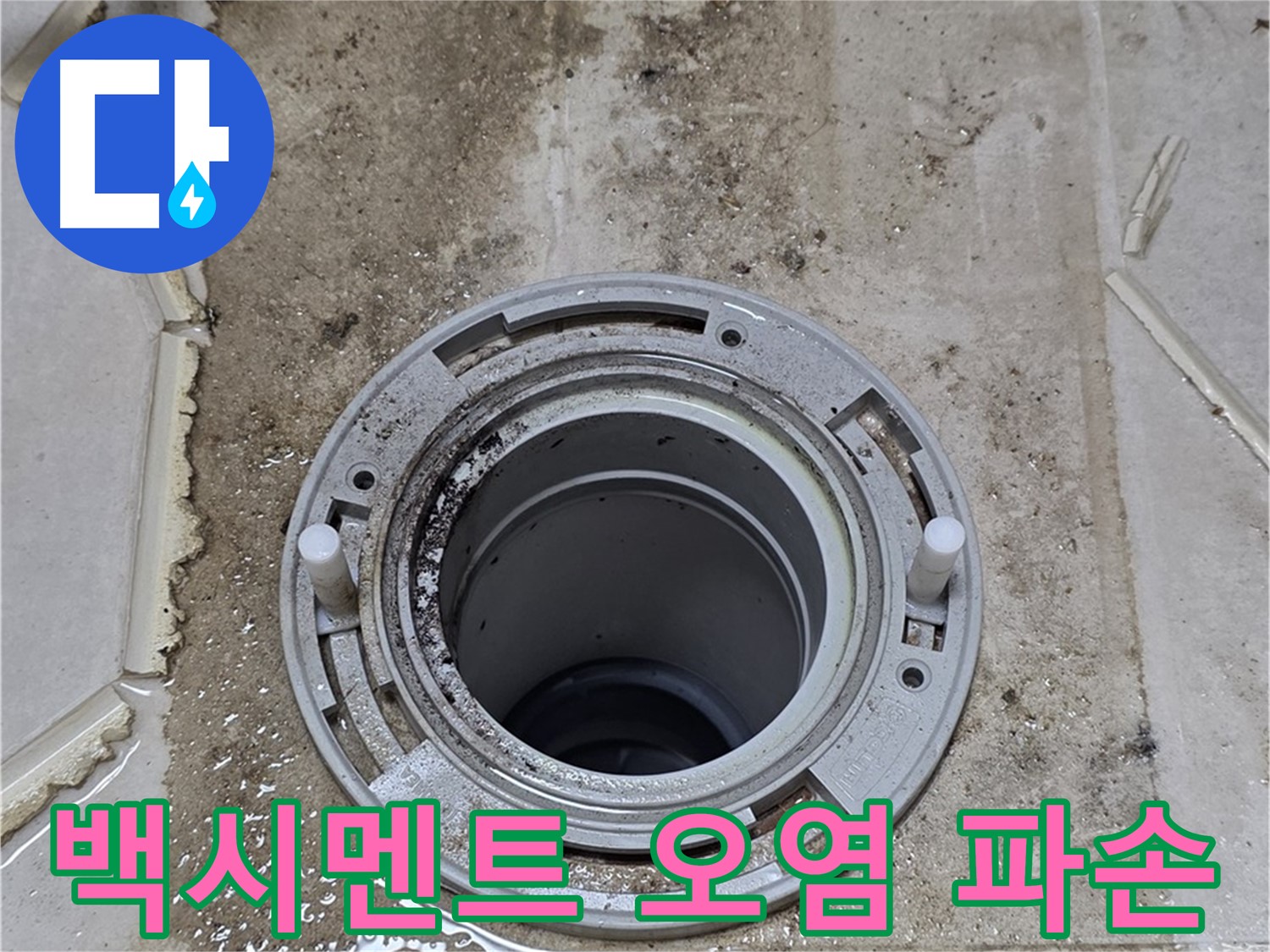 변기 플랜지 주변 백시멘트 - 오염과 함께 파손이 진행 중입니다.