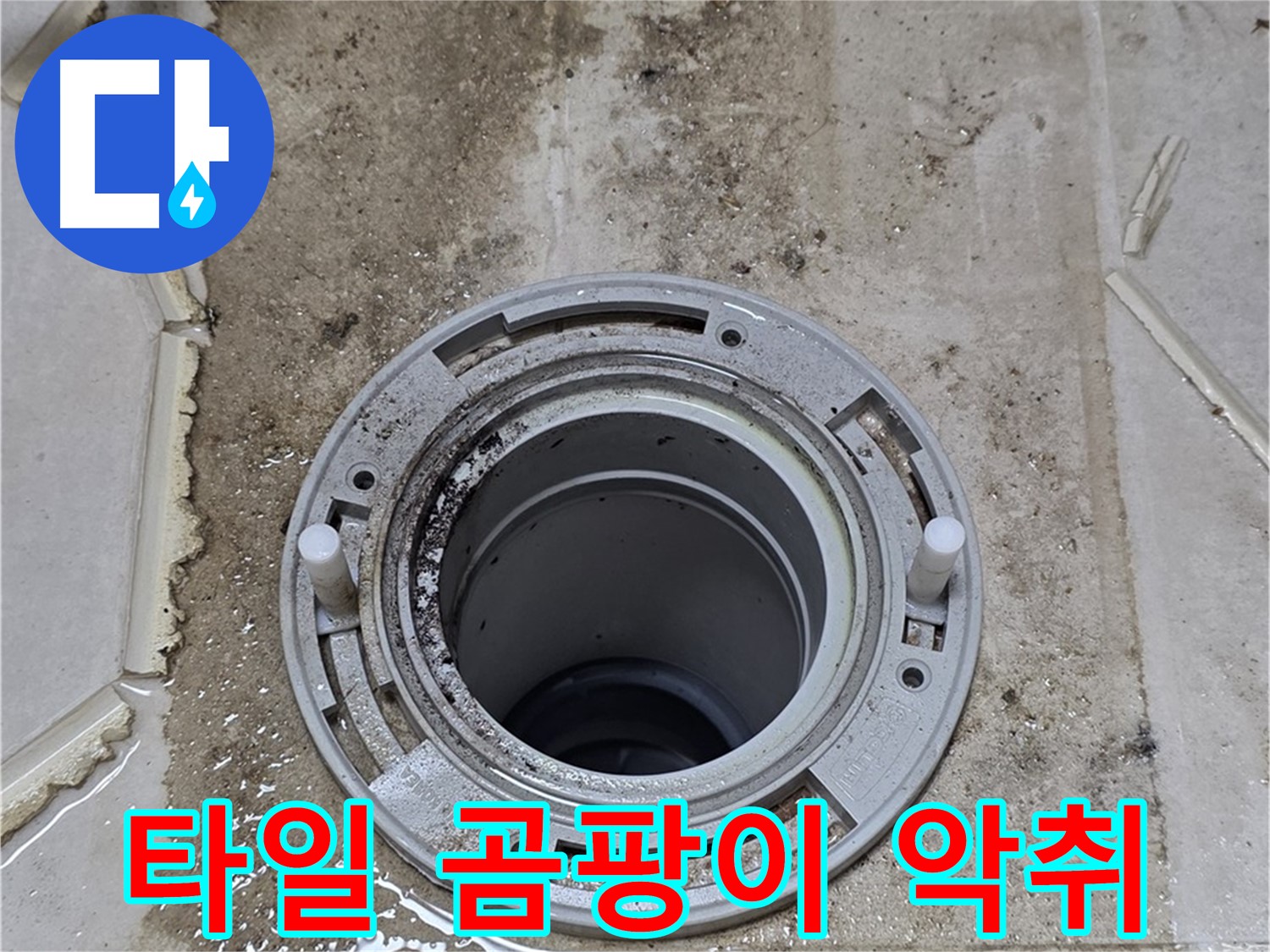 변기 플랜지 주변 타일 - 곰팡이와 악취가 심하게 발생하고 있습니다.