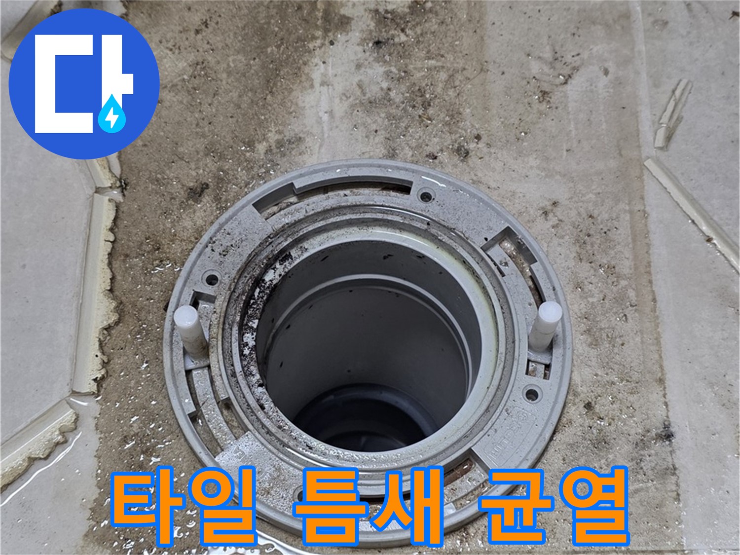 변기 플랜지 주변 타일 틈새 - 오염과 함께 균열이 심하게 진행되고 있습니다.