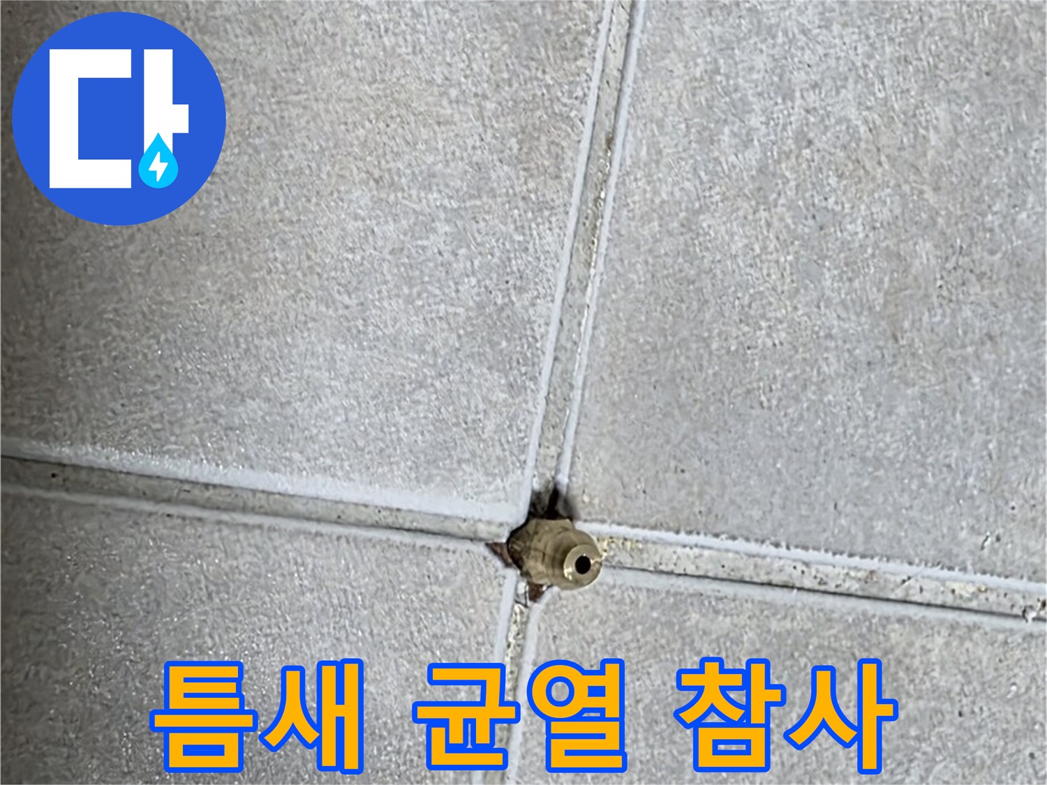 양주 옥정 율정마을 아파트 누수 - 누수, 타일 틈새의 작은 균열이 불러온 대참사?! 꼼꼼한 점검이 필요합니다.