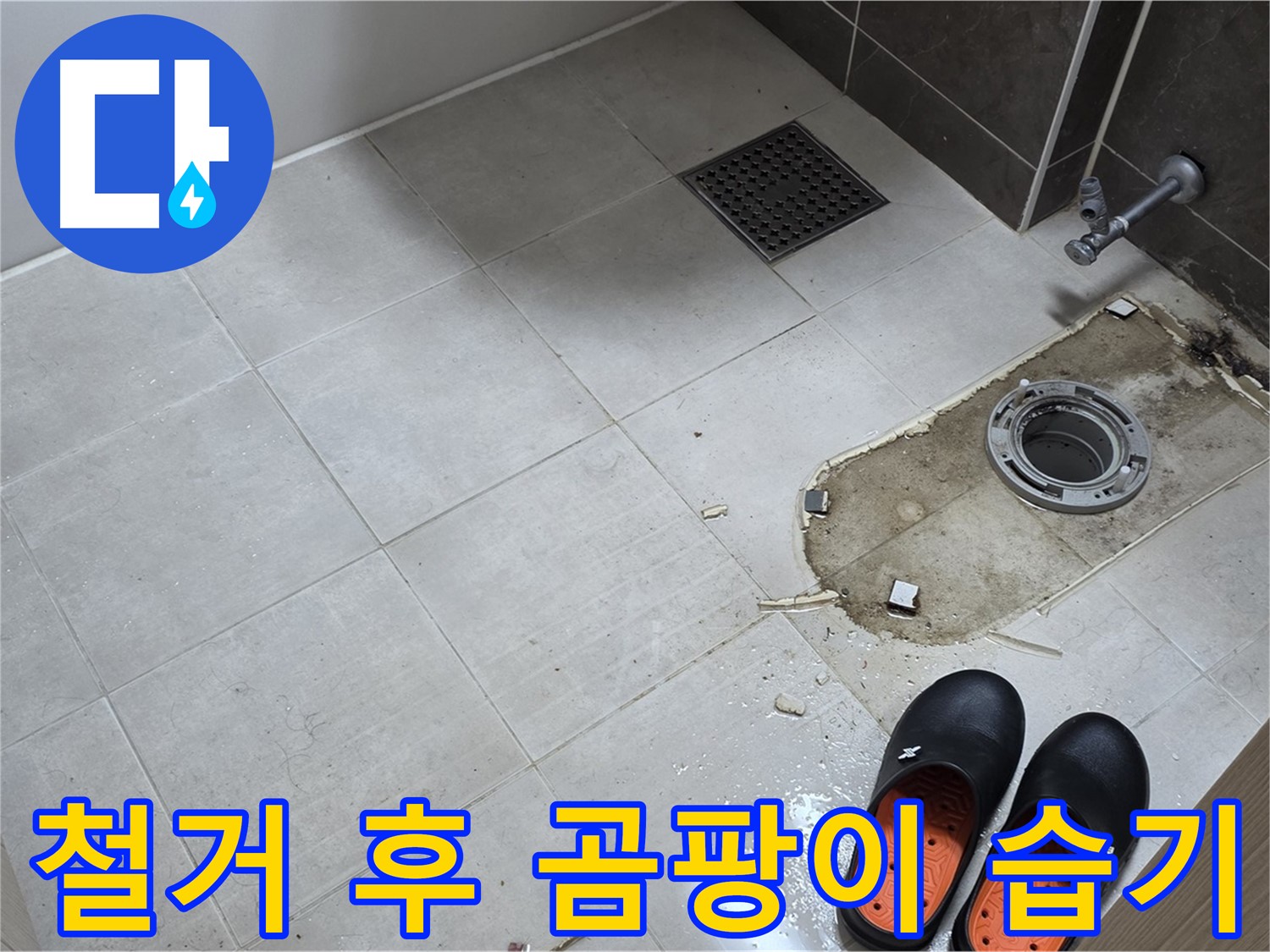 양주 옥정 율정마을 아파트 변기 누수 - 변기 철거 후 바닥의 곰팡이와 습기 상태를 확인합니다.