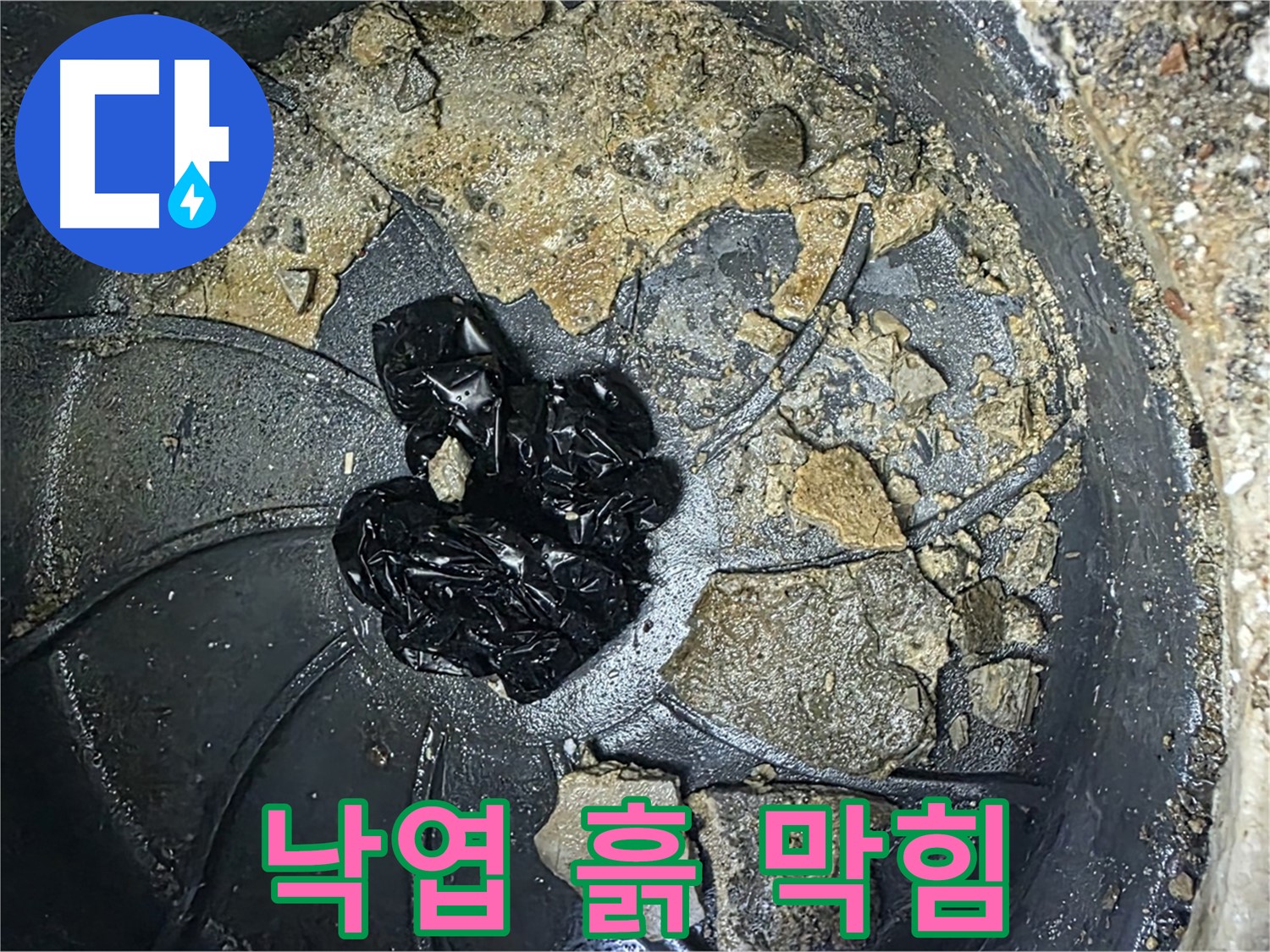 양주 옥정 율정마을 아파트 - 빗물받이를 꽉 막은 낙엽과 흙의 환상적인 조합!