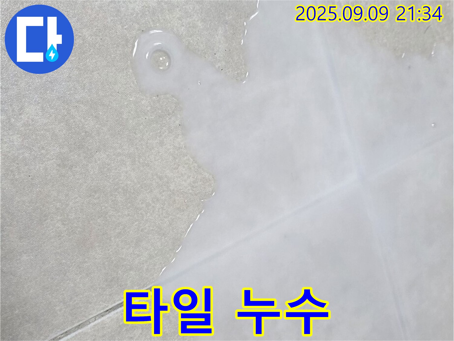 양주 옥정 율정마을 아파트 타일 누수 - 합리적인 비용으로 확실하게 해결