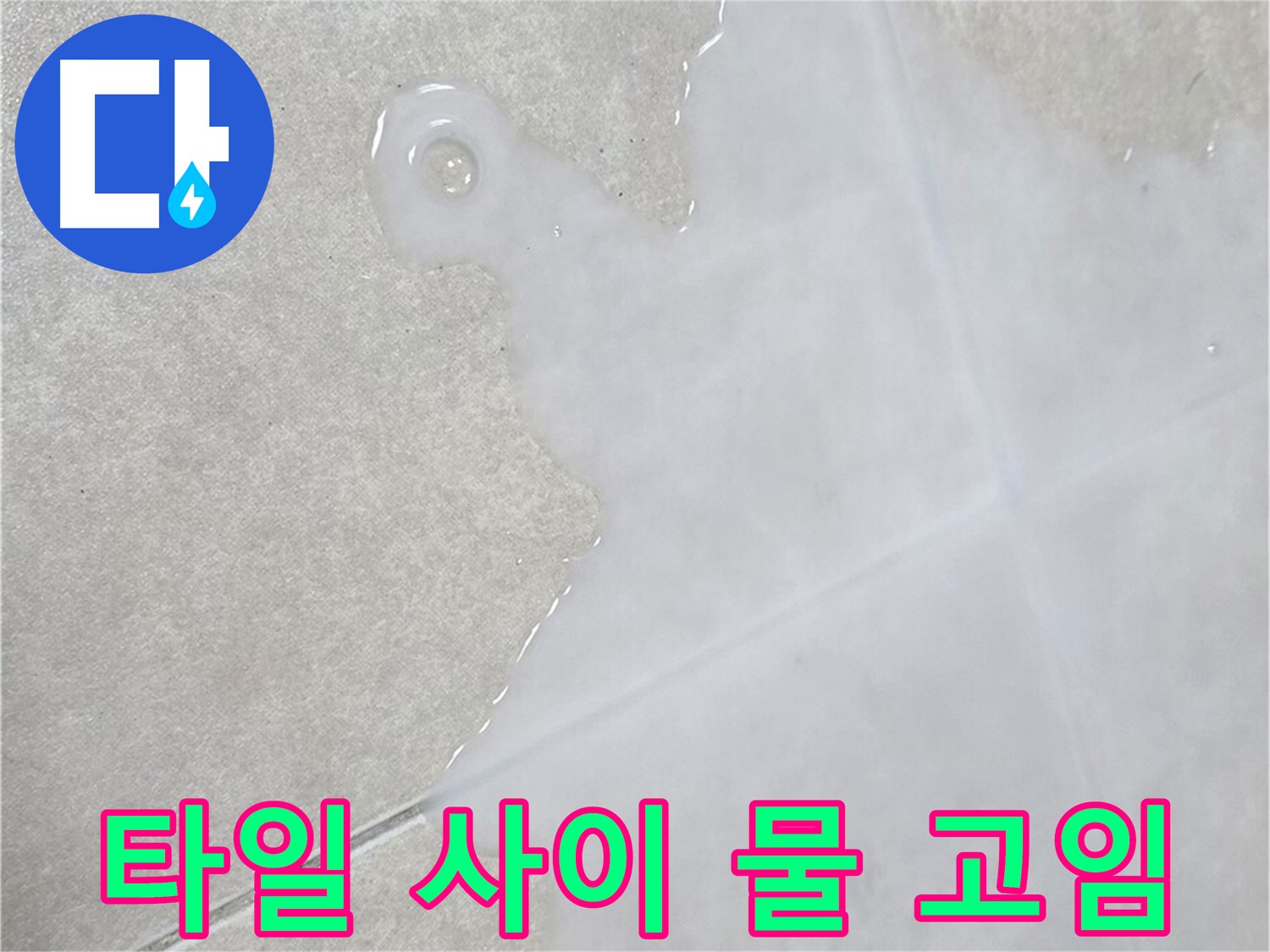 양주 옥정 율정마을 아파트 타일 사이 물 고임 - 누수 해결 전문가
