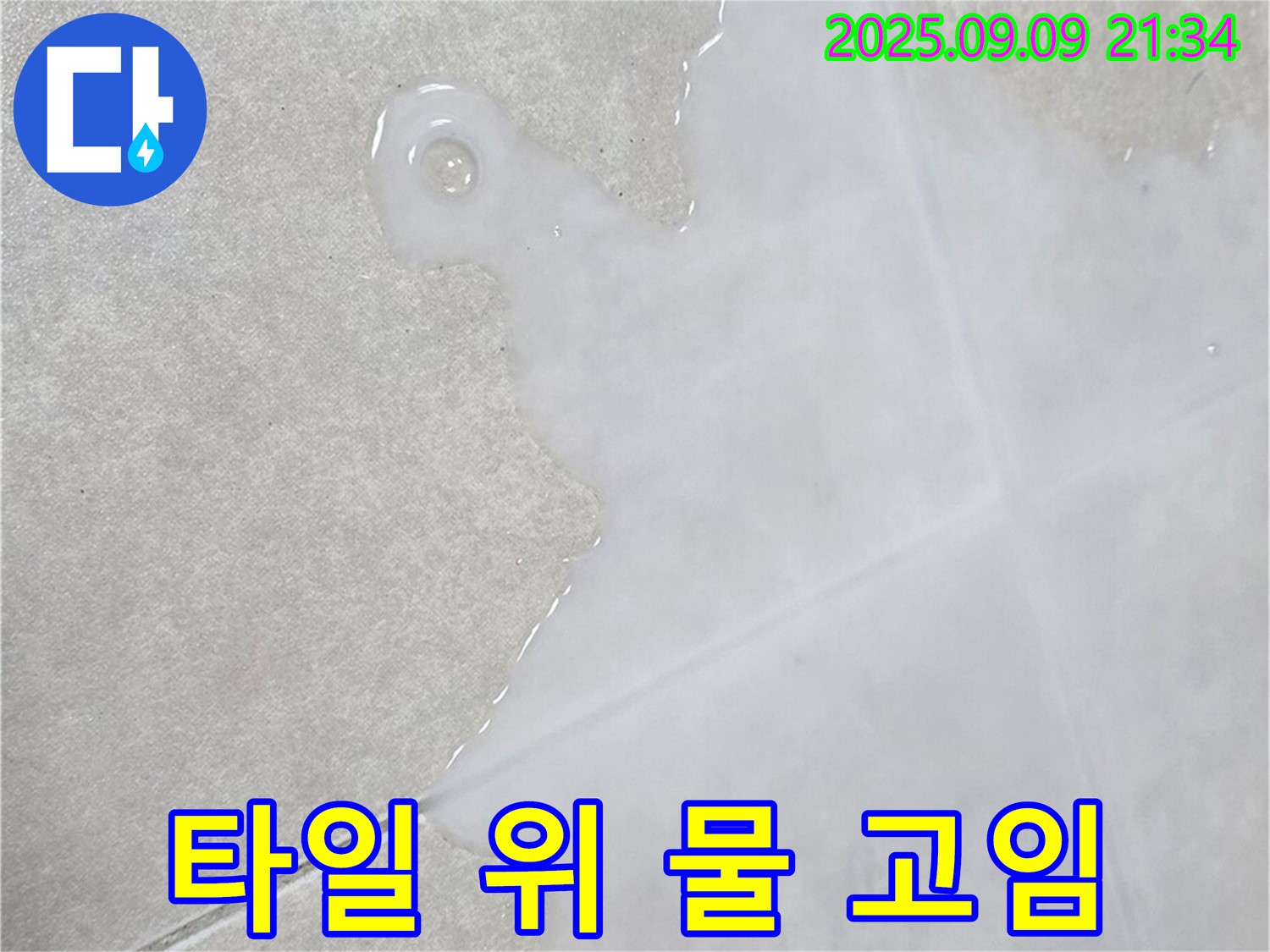 양주 옥정 율정마을 아파트 타일 위 물 고임 - 조용한 누수 해결