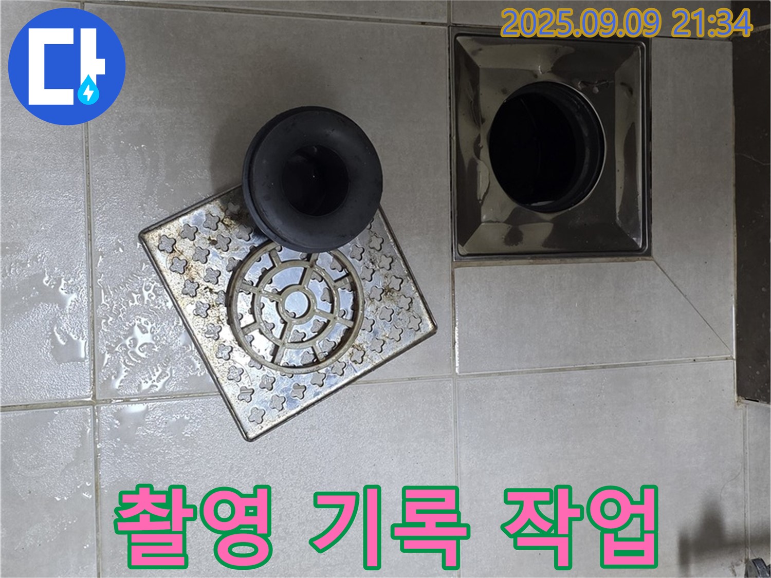 양주 옥정동 누수 - 율정마을 13단지 욕실 배수구 주변 촬영 및 기록 작업 진행 중 - 꼼꼼하게 촬영하고 기록하여 정확한 진단을 돕습니다.