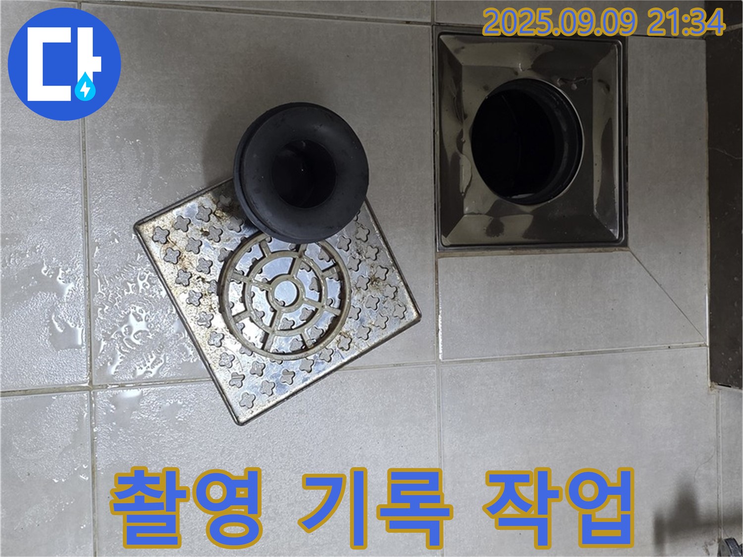양주 옥정동 율정마을 1309동 욕실 배수구 주변 촬영 및 기록 작업 - 꼼꼼하게 촬영하고 기록하여 정확한 진단을 돕습니다.