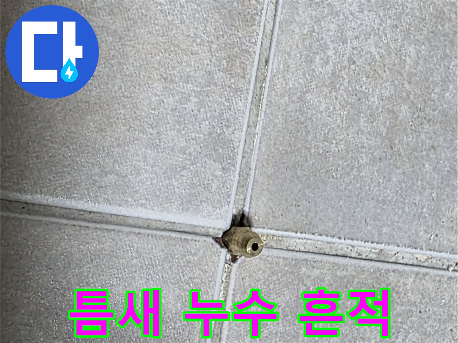 양주 옥정동 율정마을 13단지 아파트 누수 - 타일 틈새에서 발견된 누수 흔적을 보여줍니다.