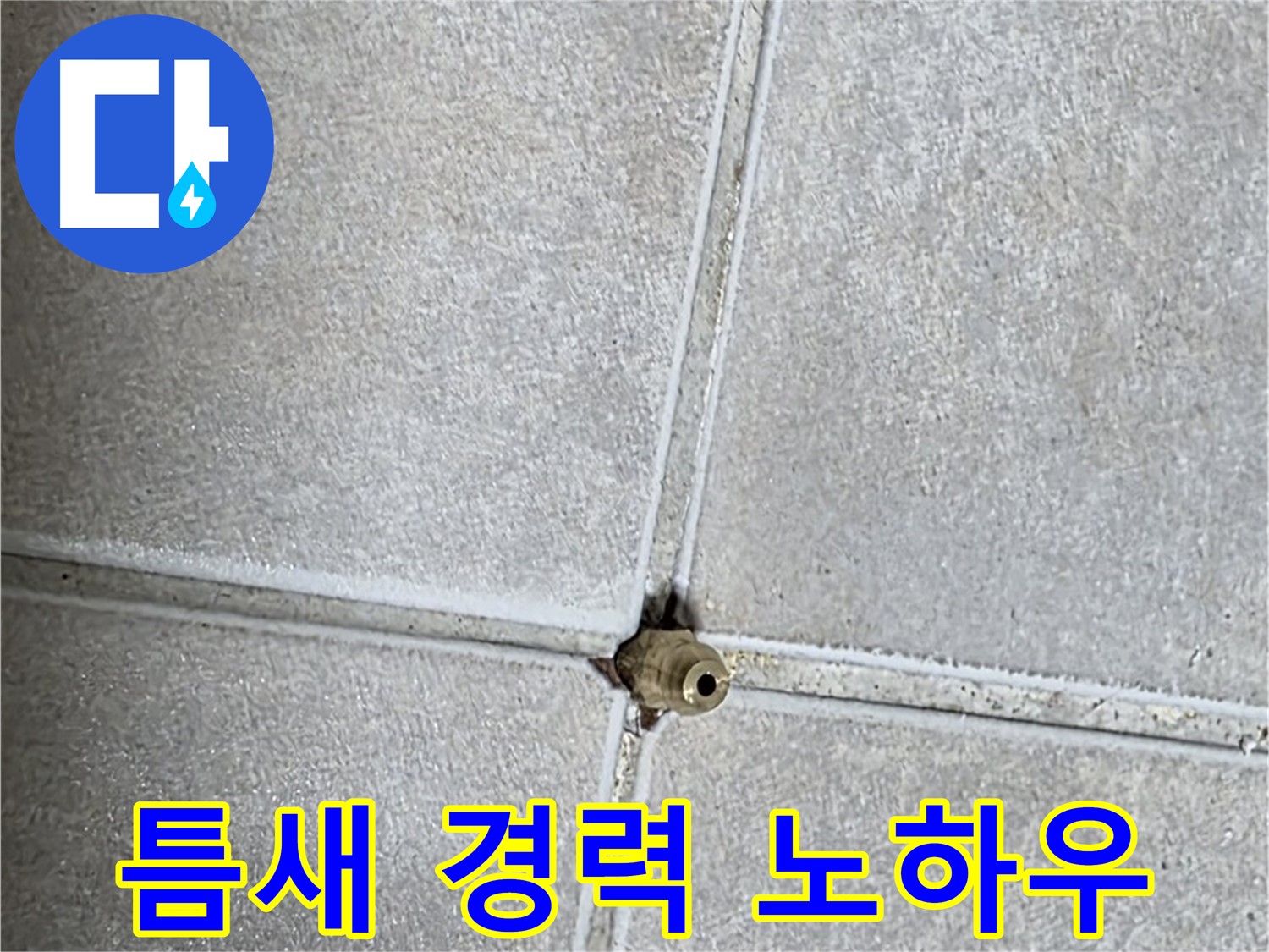 양주 옥정동 율정마을 아파트 누수 - 타일 틈새 누수, 20년 경력 베테랑의 노하우를 공개합니다!
