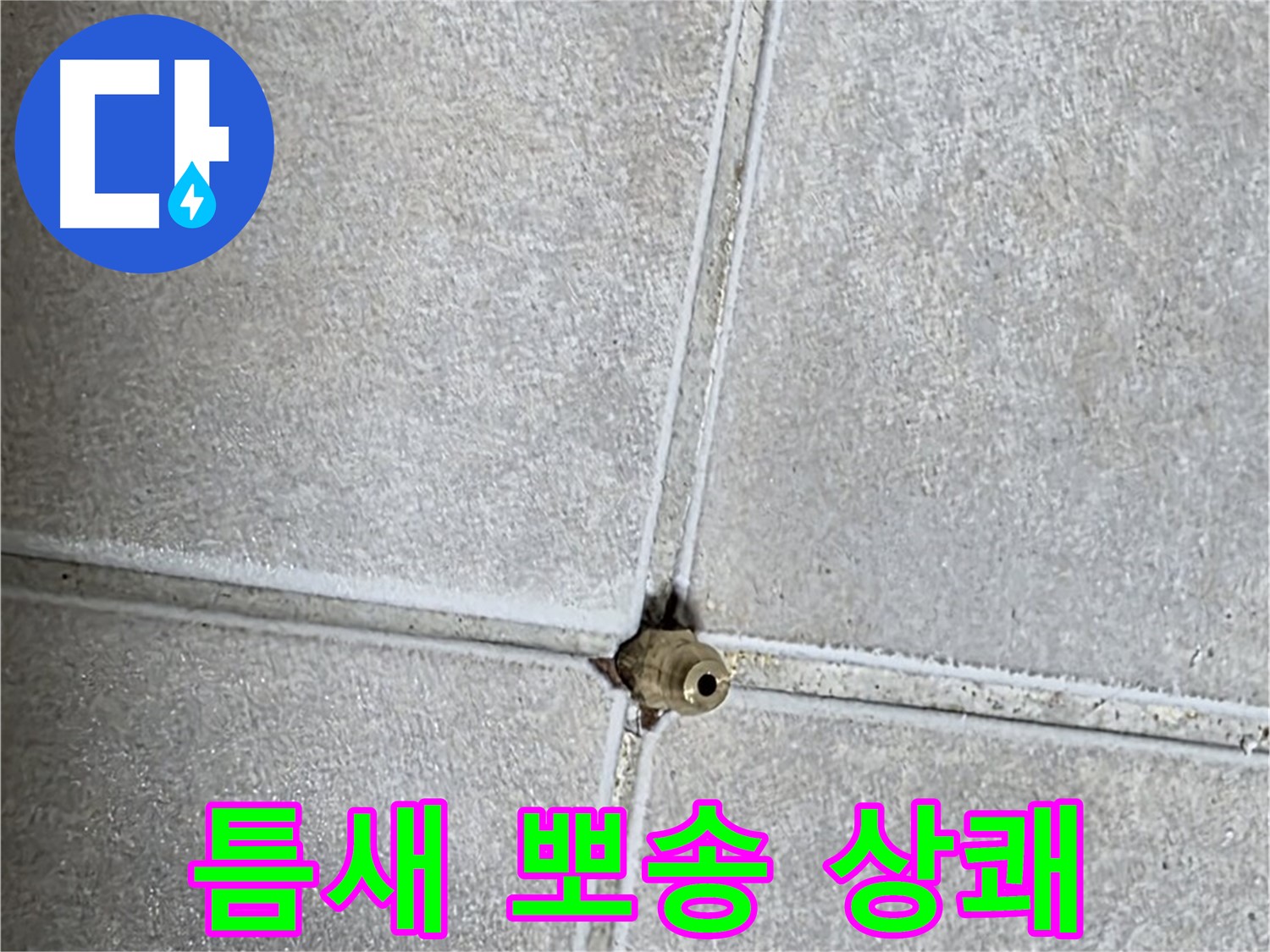 양주 옥정동 율정마을 아파트 누수 - 타일 틈새 누수, 완벽하게 해결하고 뽀송뽀송한 욕실에서 상쾌한 하루를 시작하세요!