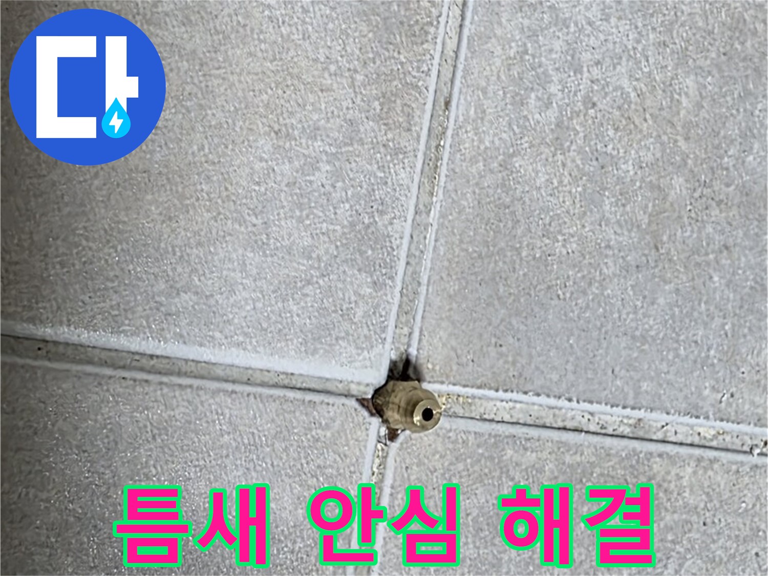 양주 옥정동 율정마을 아파트 누수 - 타일 틈새 누수, 이제 안심하세요! 완벽 해결을 보장합니다.