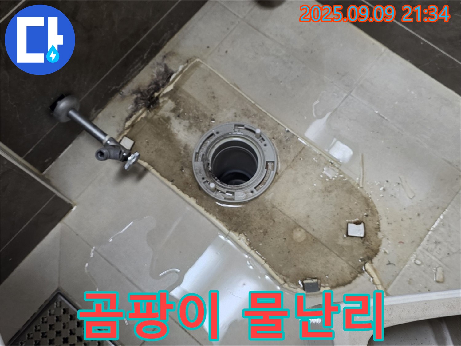 양주 옥정동 율정마을 아파트 - 변기 철거 후 곰팡이와 물난리! 긴급 SOS!