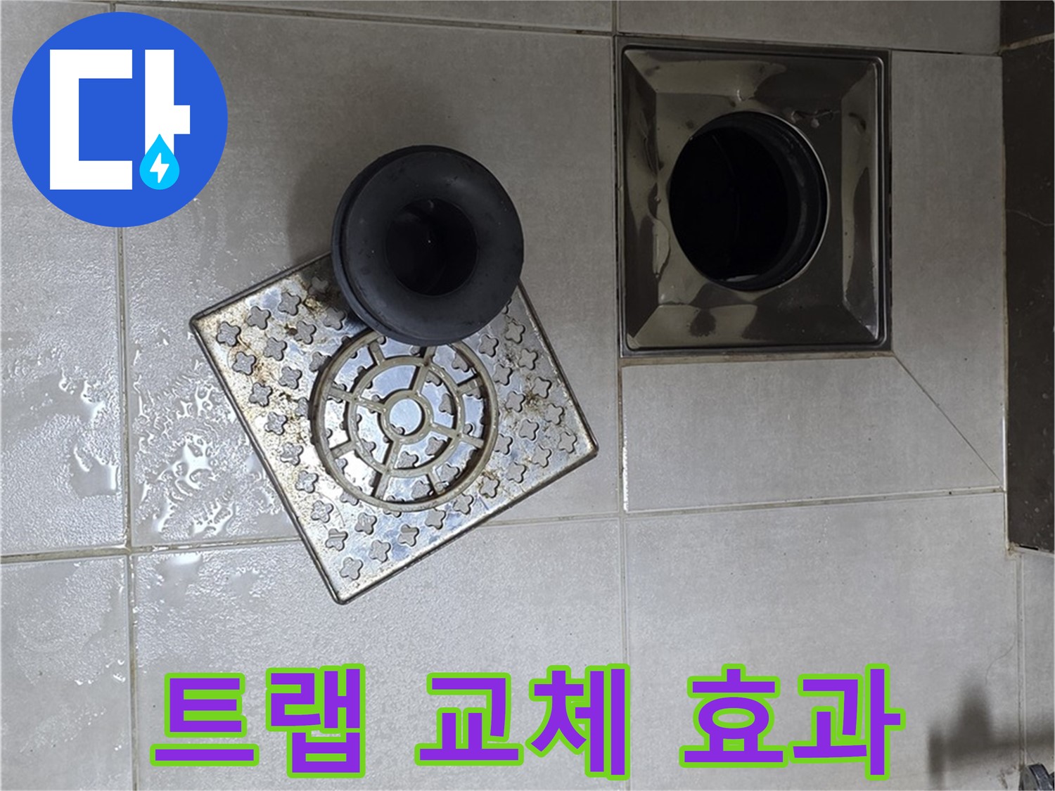 양주 옥정동 율정마을 아파트 - 욕실 배수구 누수, 트랩 교체로 완벽 차단