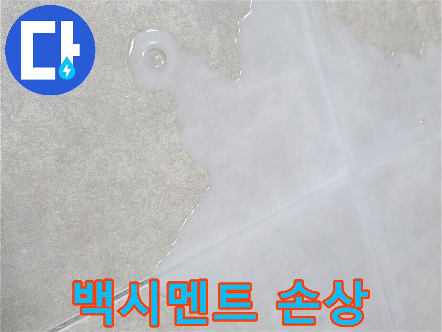 양주 옥정동 율정마을 아파트 타일 틈새 백시멘트 손상 - 누수 원인 분석 및 해결 전문