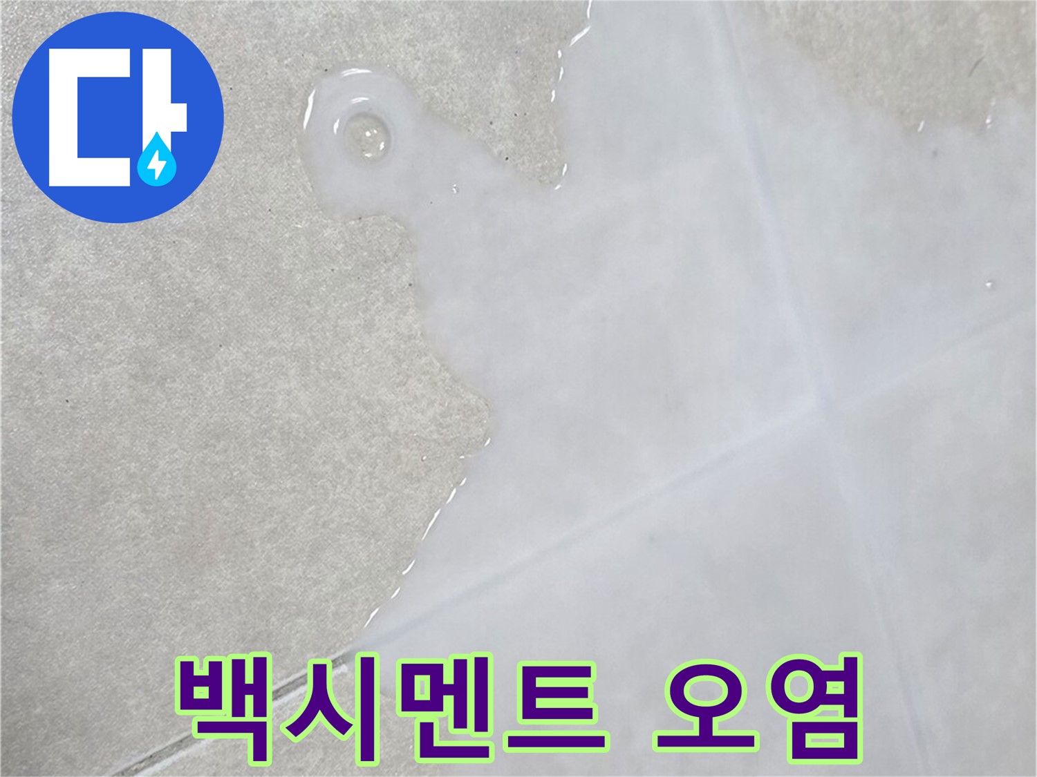 양주 옥정동 율정마을 아파트 타일 틈새 백시멘트 오염 - 누수 의심, 정밀 진단 필요