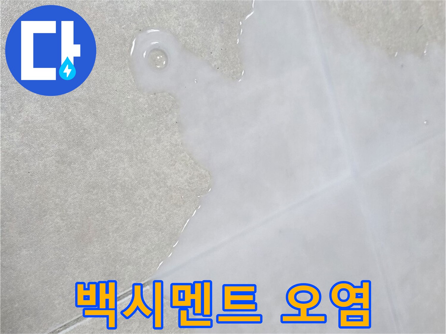양주 옥정동 율정마을 아파트 타일 틈새 백시멘트 오염 - 누수 의심 진단