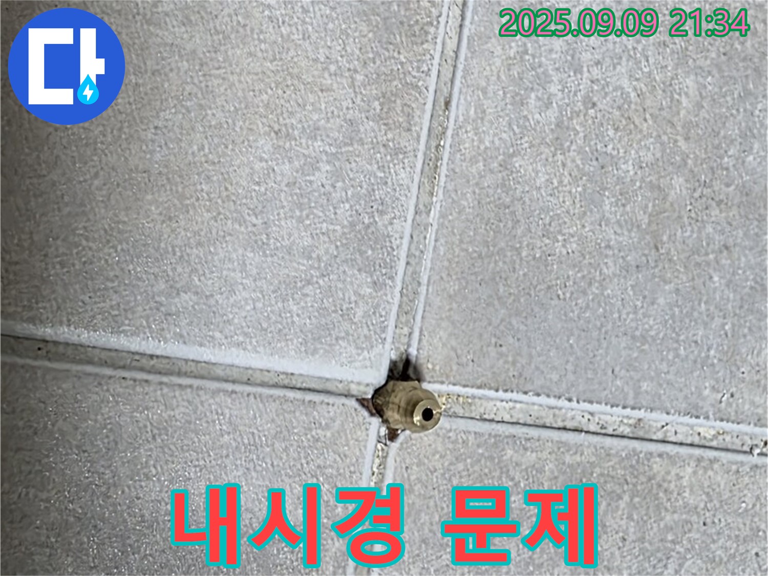 양주 율정마을 아파트 누수 - 내시경 검사, 숨겨진 문제 발견