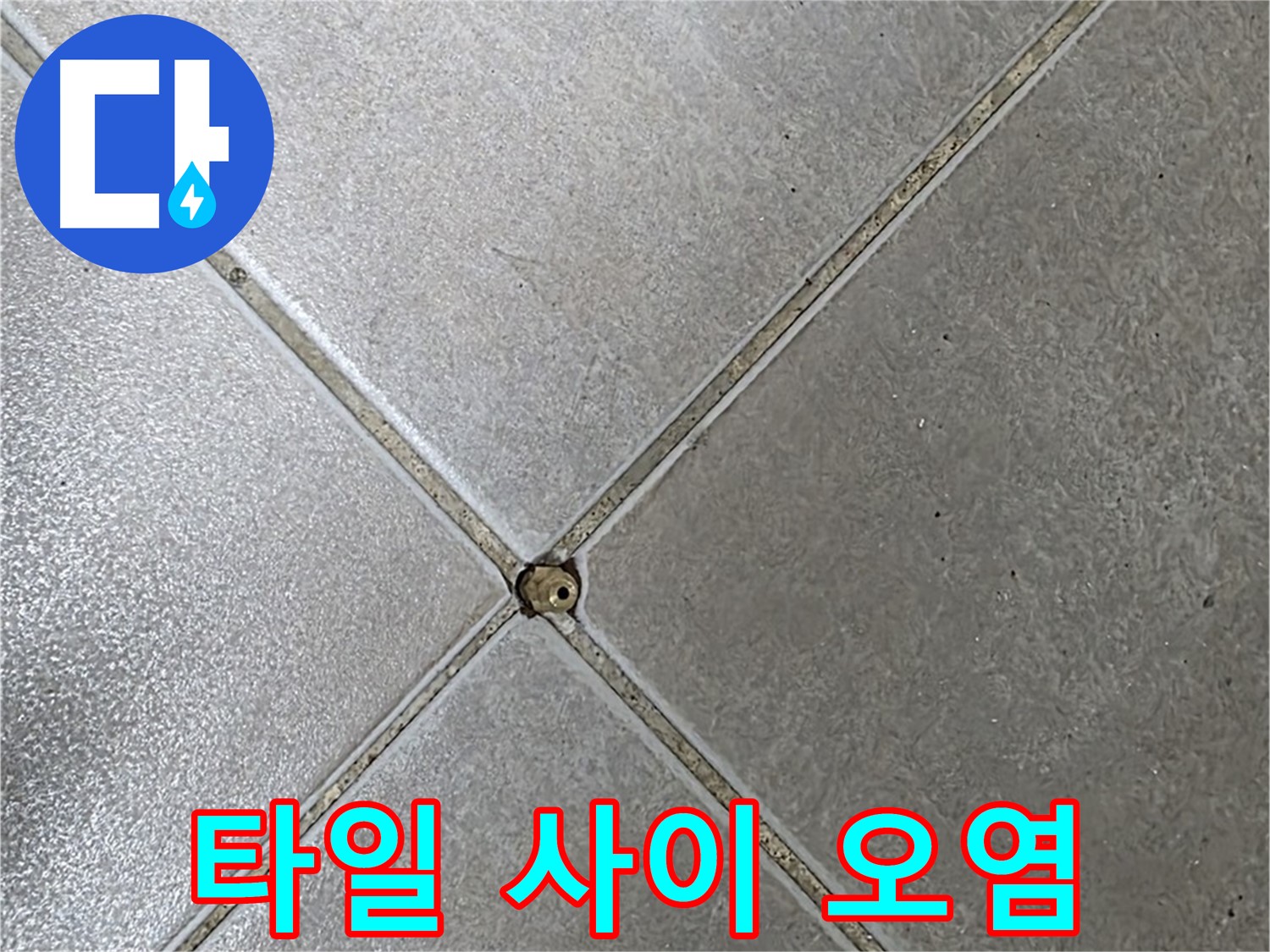 양주시 옥정동 율정마을 13단지 아파트 타일 사이 오염 - 초기 점검 모습입니다.