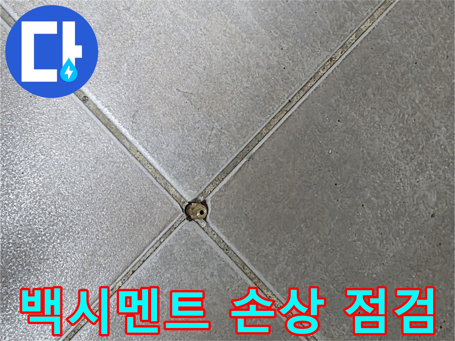 양주시 옥정동 율정마을 13단지 아파트 타일 틈새 백시멘트 손상 - 초기 점검 과정입니다.