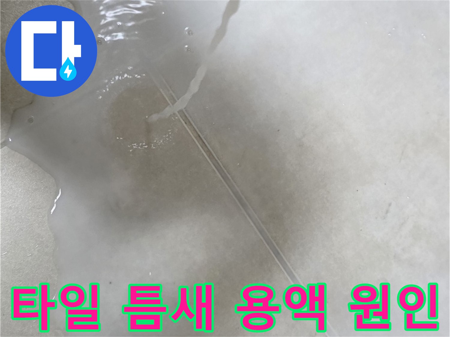 옥정 율정마을 13단지 아파트 - 특수 용액으로 타일 틈새 누수 원인을 꼼꼼히 찾아내고 완벽하게 해결하는 모습입니다.