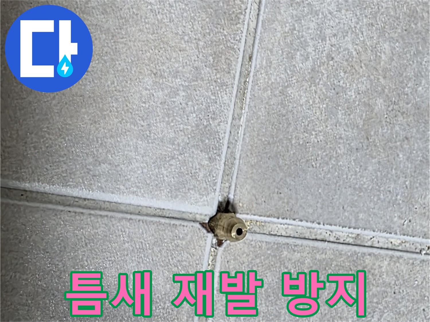 옥정 율정마을 아파트 누수 - 타일 틈새 누수, 재발 방지까지 완벽하게 책임집니다!