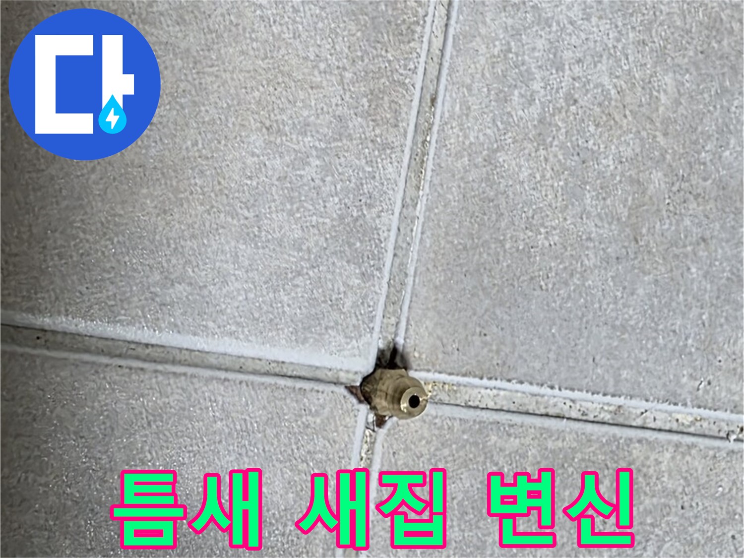 옥정 율정마을 아파트 누수 - 타일 틈새 누수 해결, 새집처럼 깨끗하게 변신시켜 드립니다!