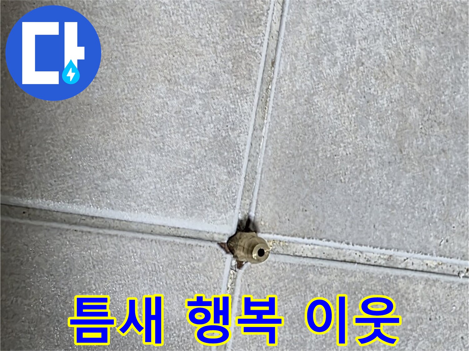 옥정 율정마을 아파트 누수 - 타일 틈새 누수 해결, 이웃사촌과 함께 웃는 행복한 우리 집을 만들어 드립니다!