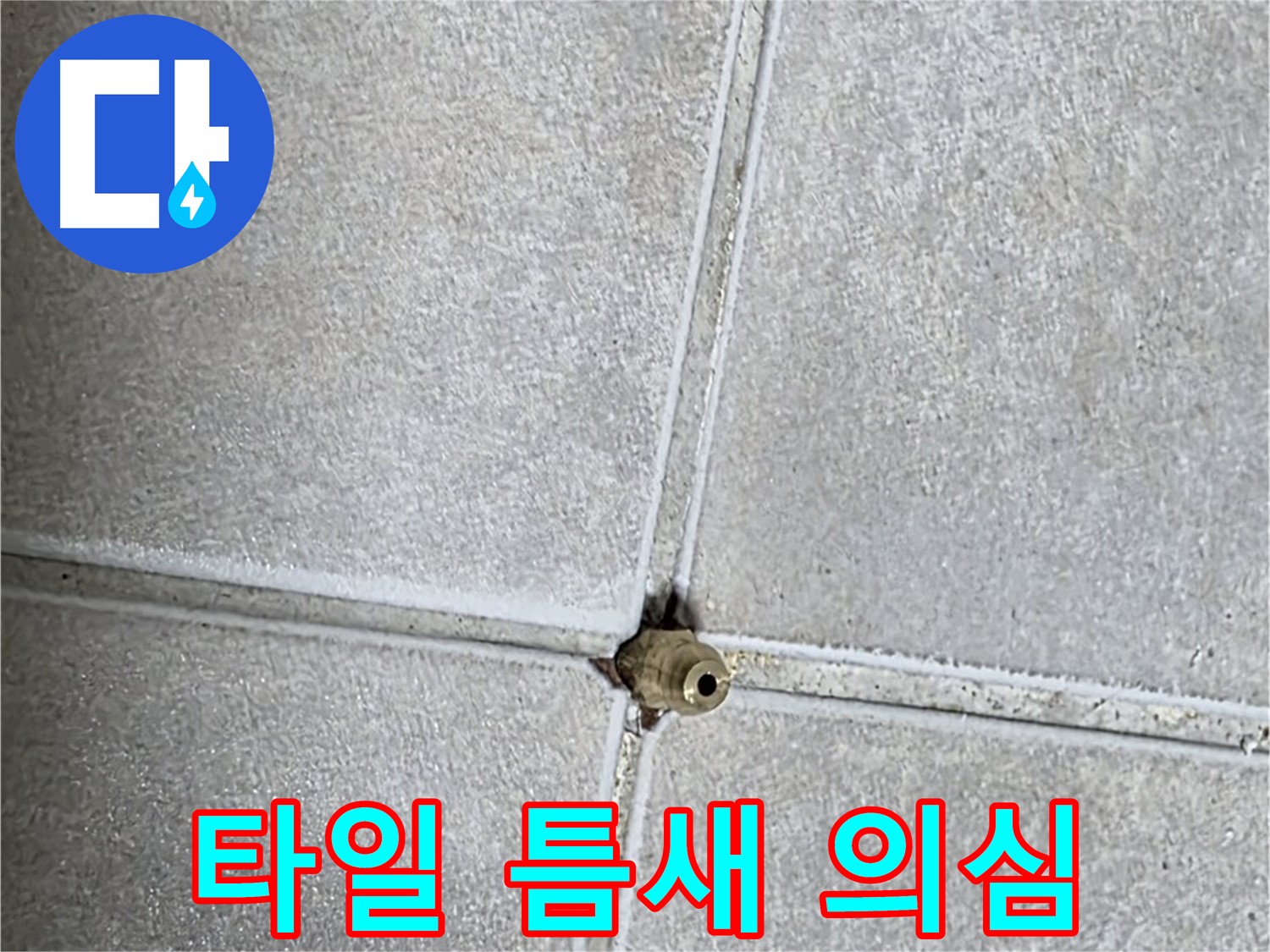 옥정 율정마을 아파트 누수 - 타일 틈새를 의심하고 꼼꼼하게 점검하세요!